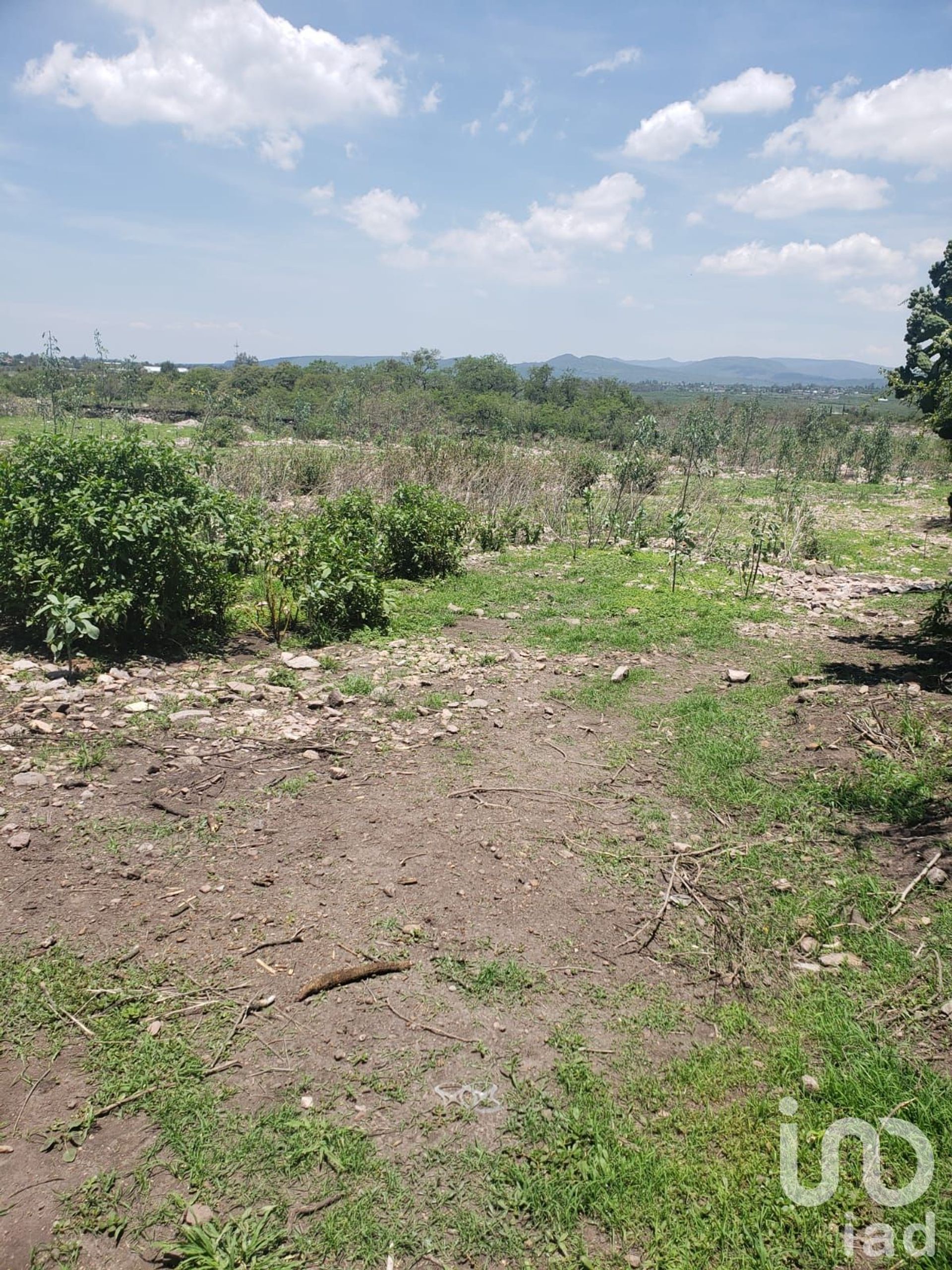 土地 在 Lagunillas, Querétaro 12675716