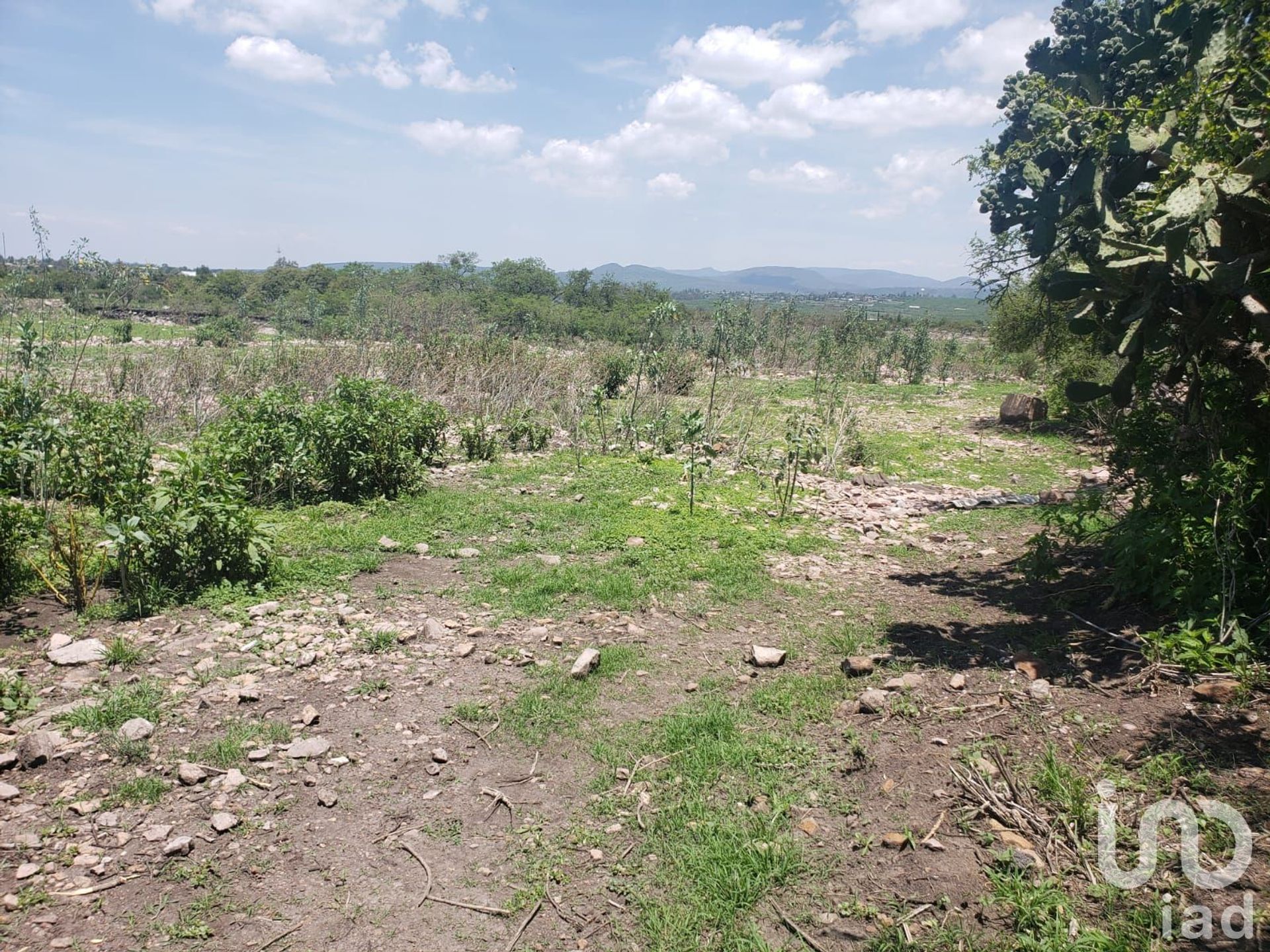 土地 在 Lagunillas, Querétaro 12675716