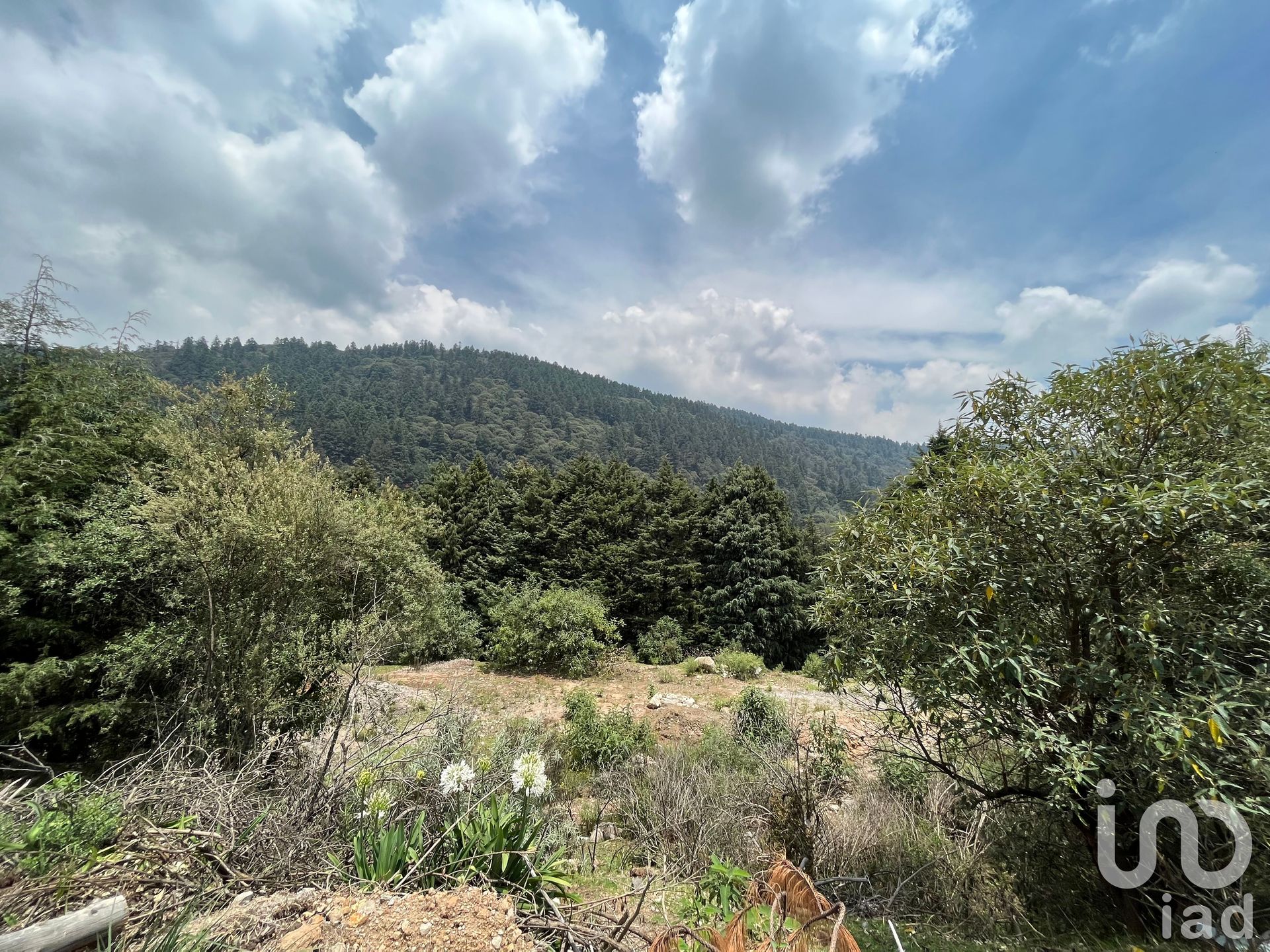 Rumah di Ignacio Allende, Mexico 12675831