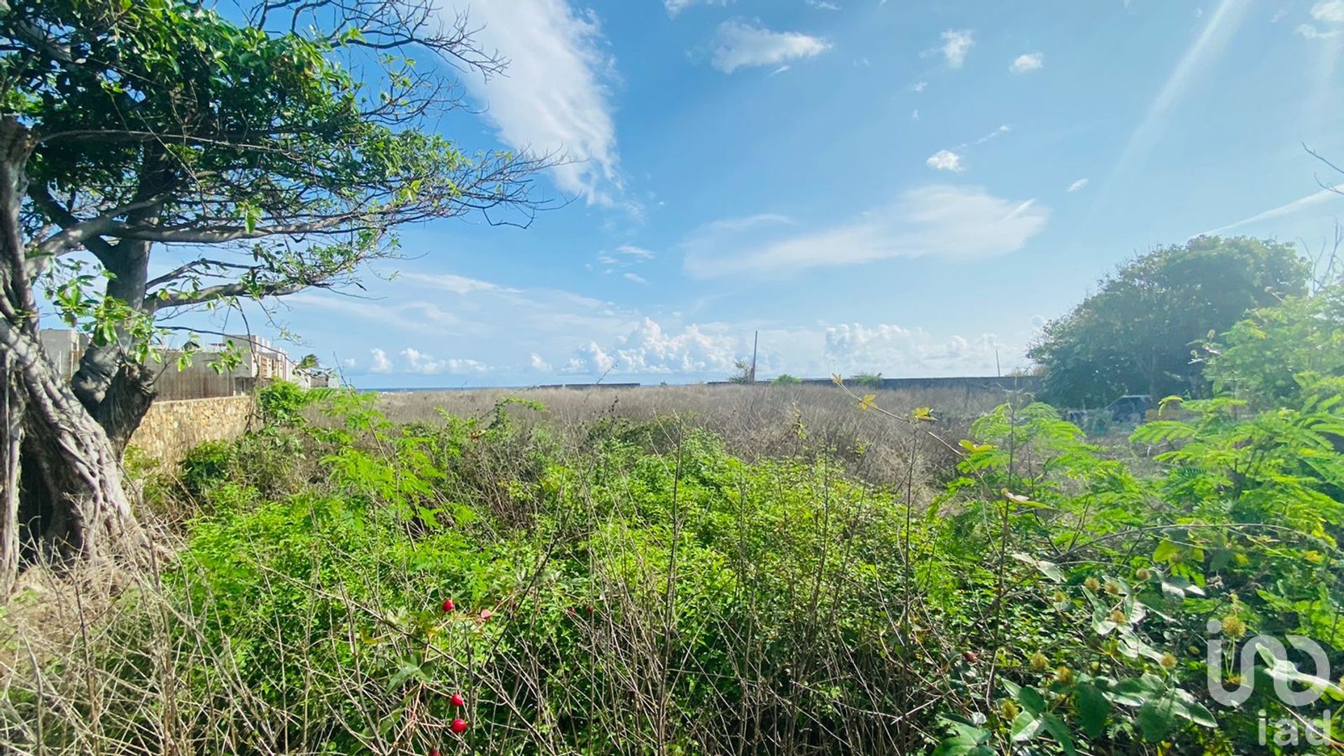 土地 在 Los Mogotes, Guerrero 12675839