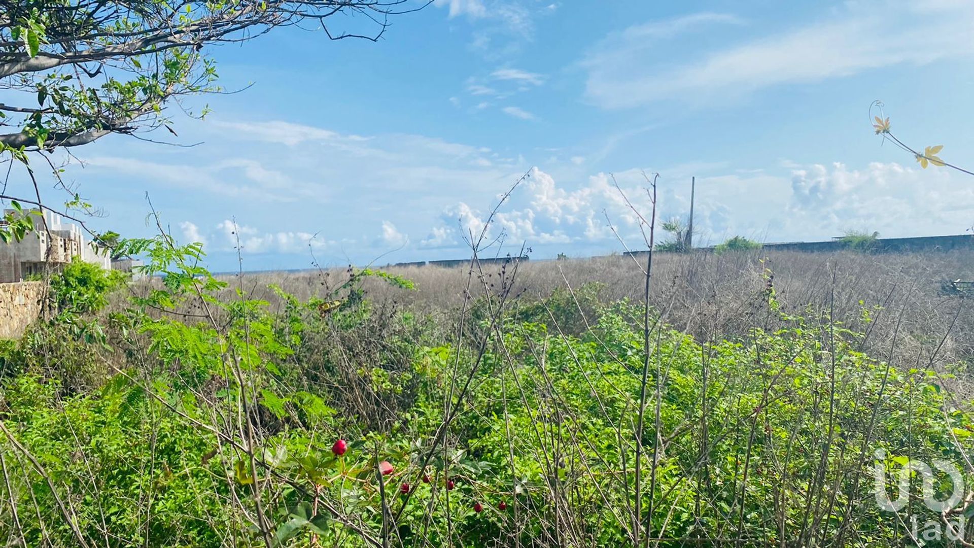 土地 在 Los Mogotes, Guerrero 12675839