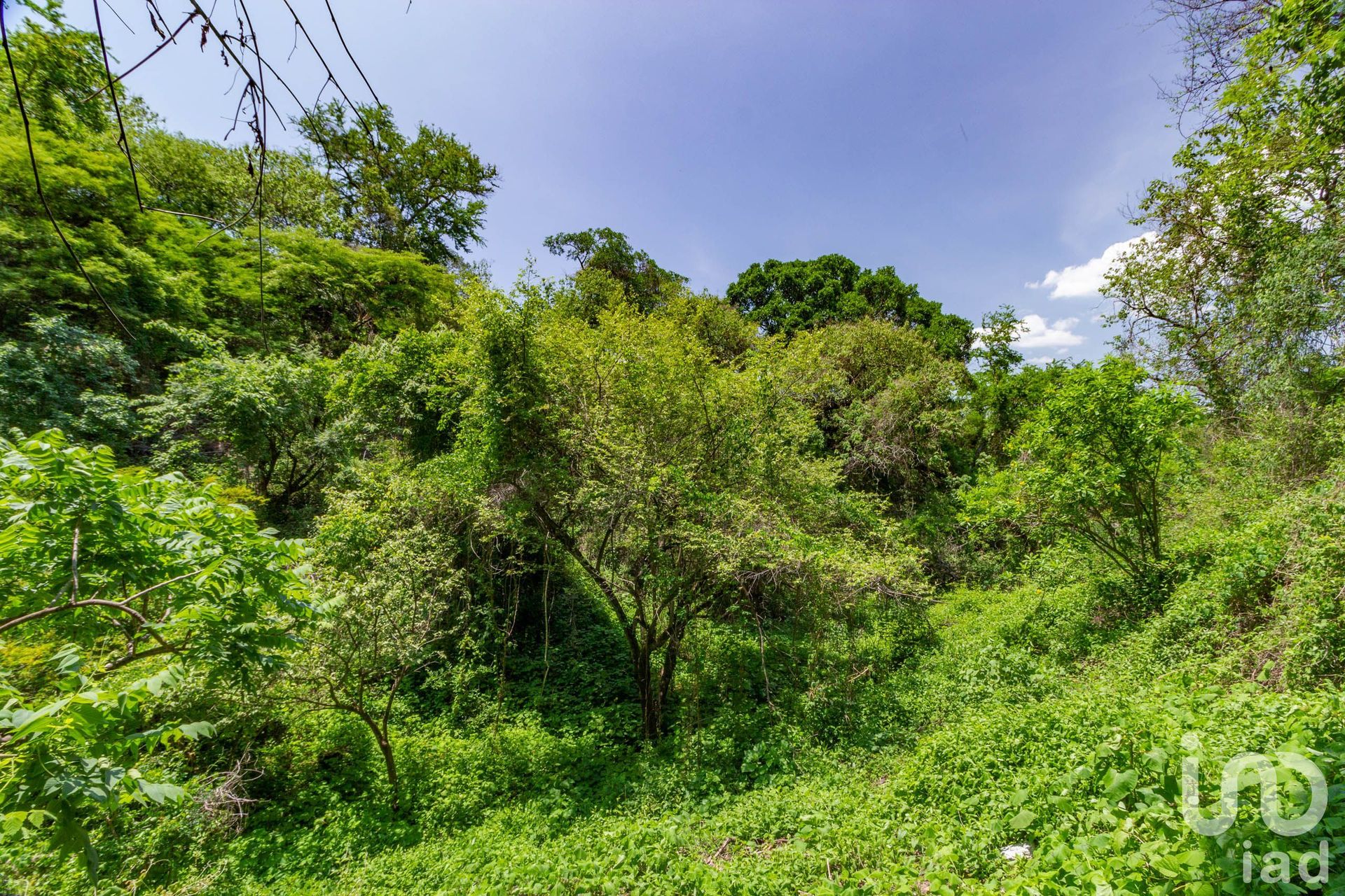 Land in Coatlán del Río, Morelos 12676101