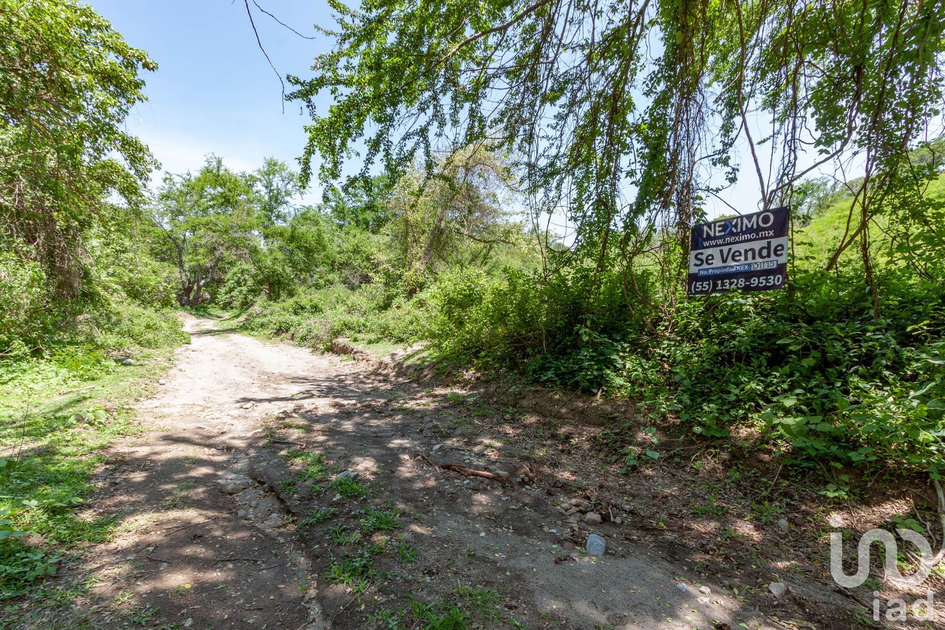 Land in Coatlán del Río, Morelos 12676101