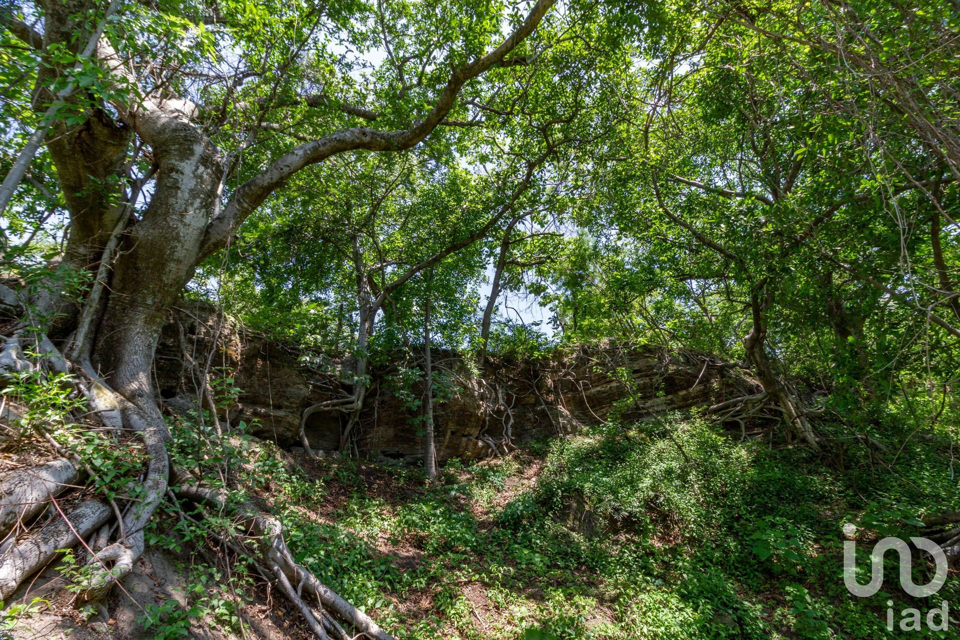 Land in Coatlán del Río, Morelos 12676101