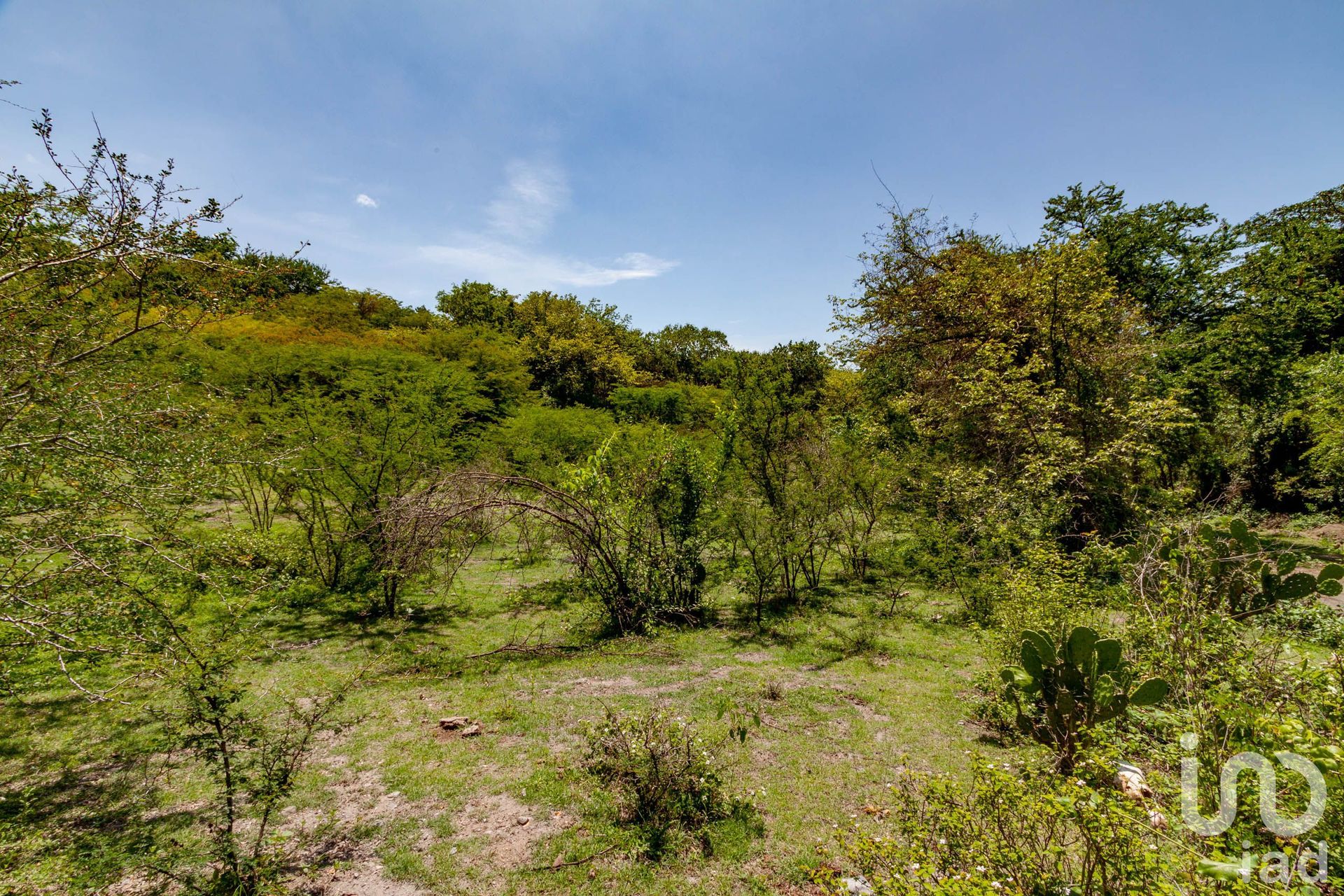 Land in Coatlán del Río, Morelos 12676101