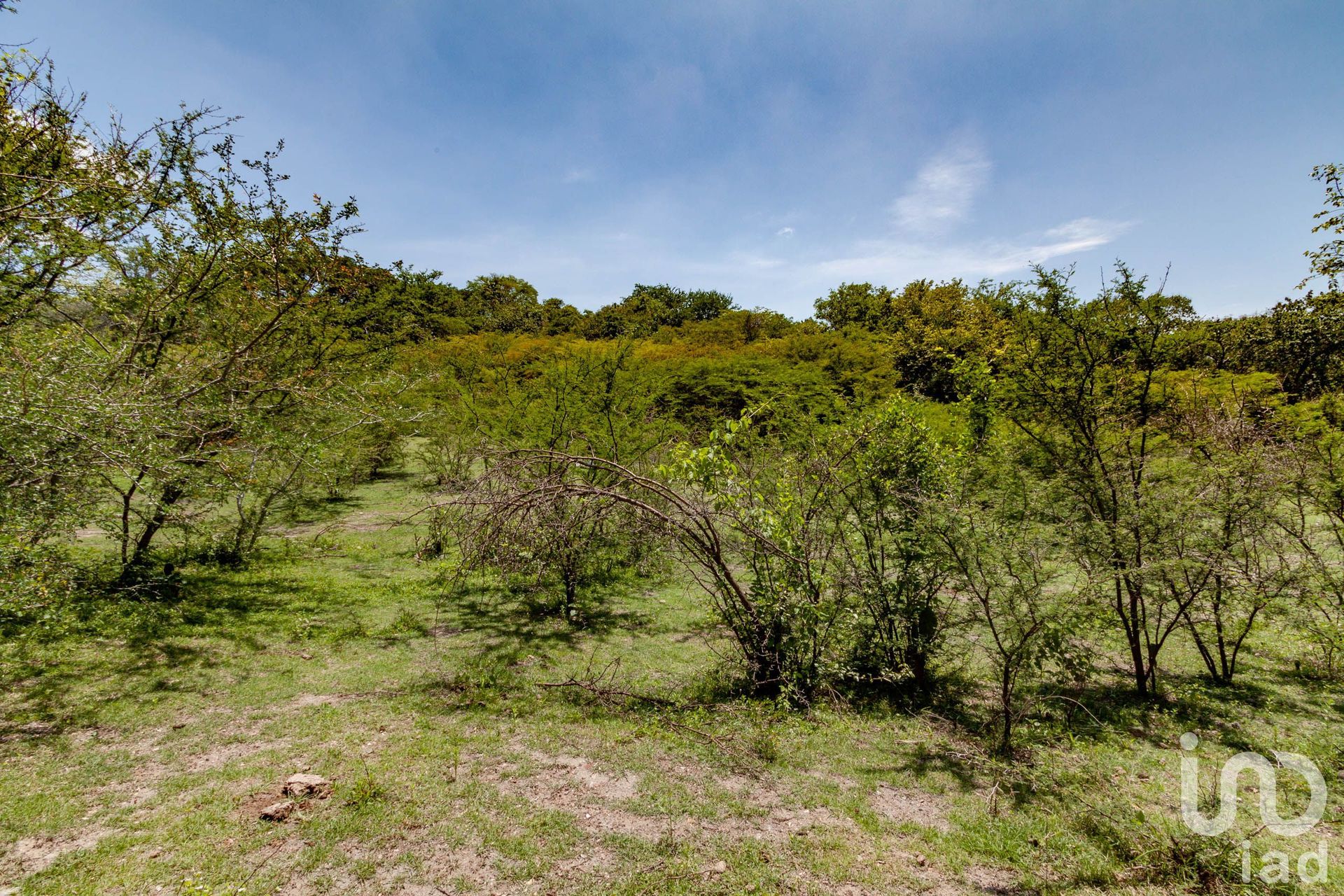 Land in Coatlán del Río, Morelos 12676101