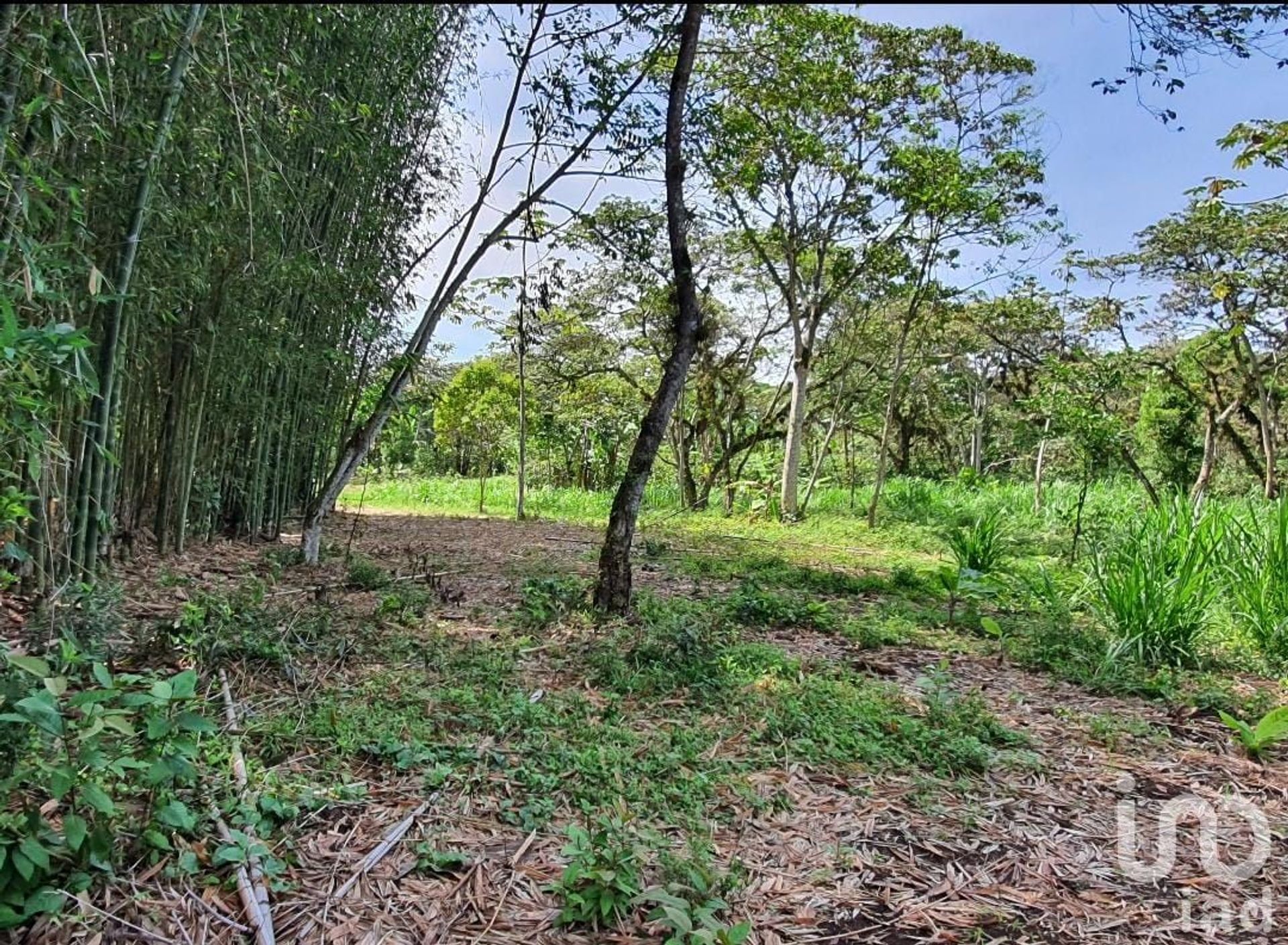 Land in San Marcos de Leon, Veracruz 12676108