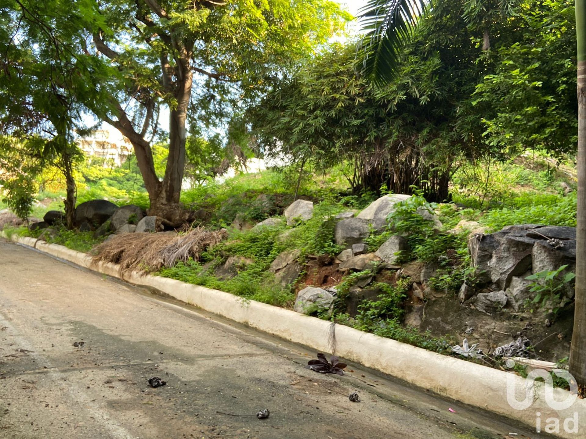 土地 在 Acapulco de Juárez, Guerrero 12676140