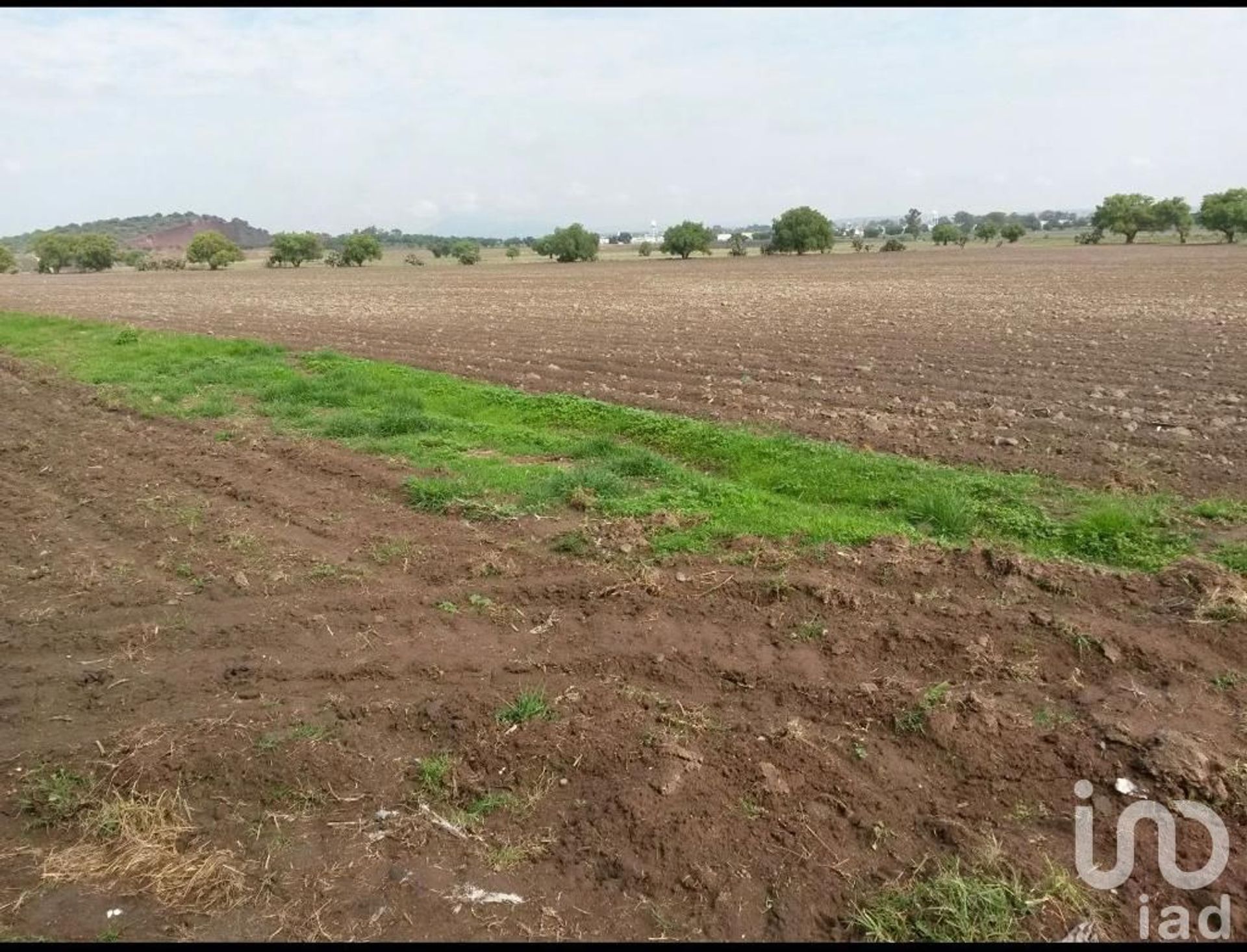 Γη σε Colonia Guadalupe, Μορέλος 12676230