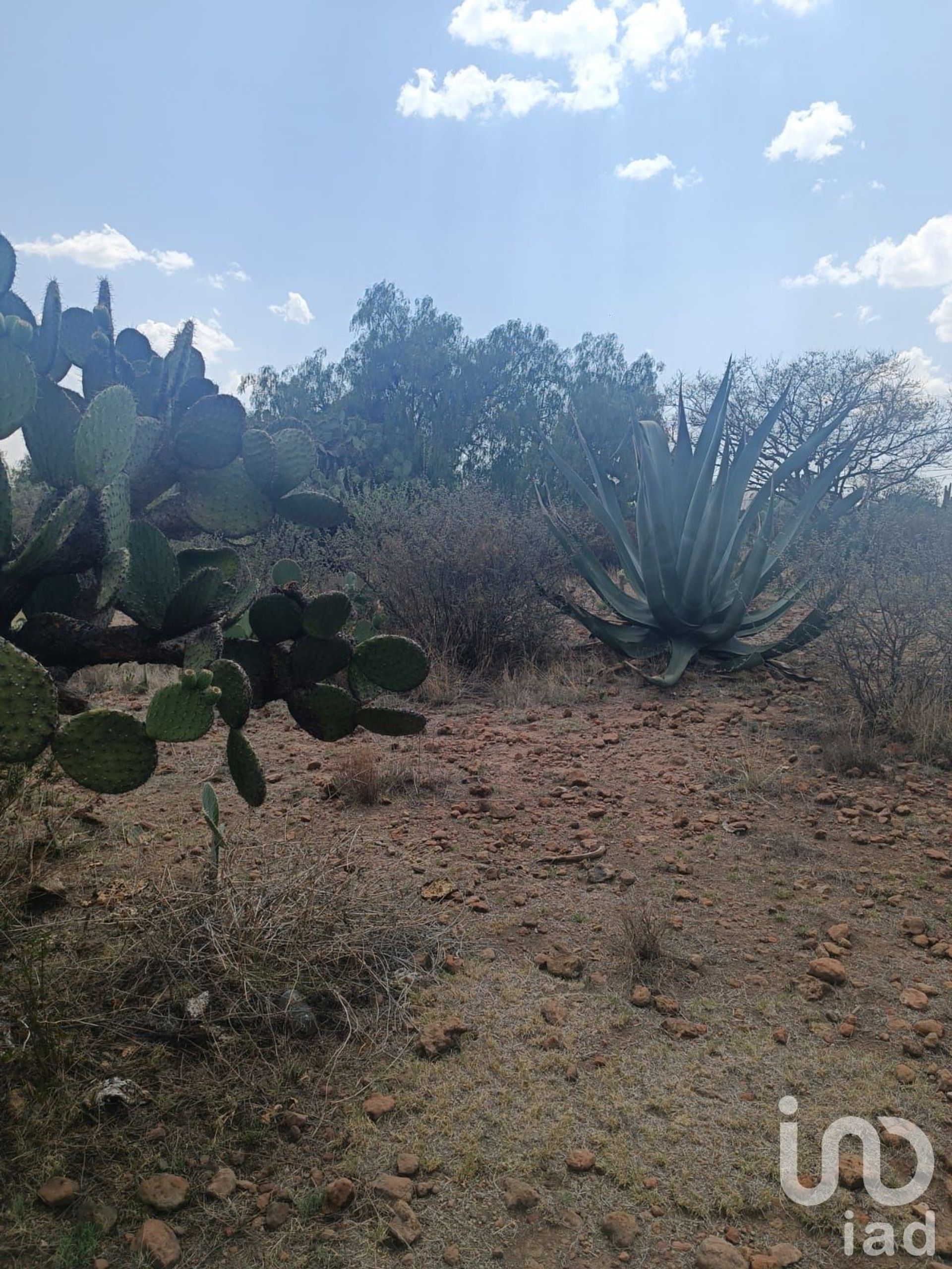 Land in Nopaltepec, Estado de México 12676341