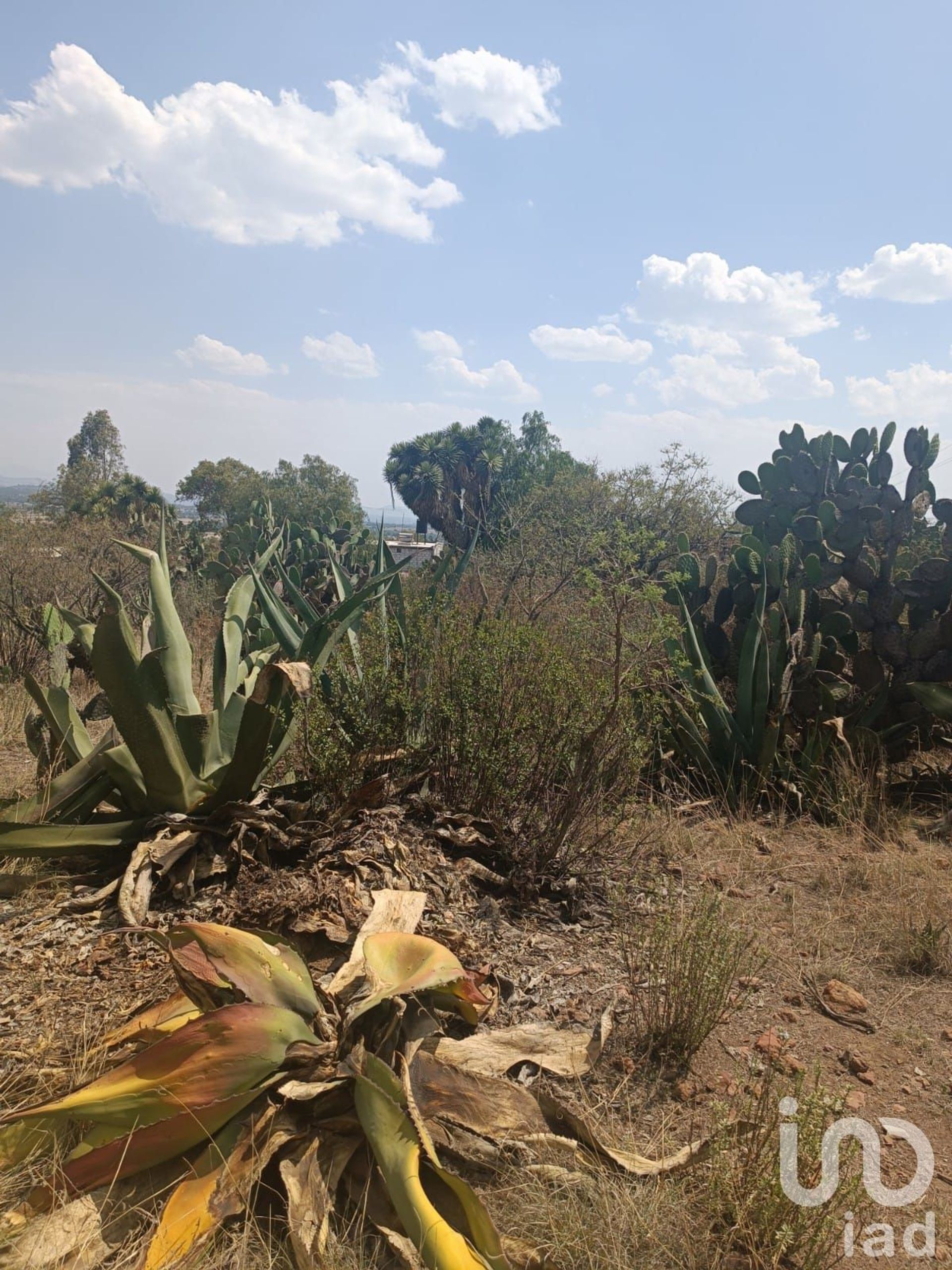 Земля в Nopaltepec, Estado de México 12676341