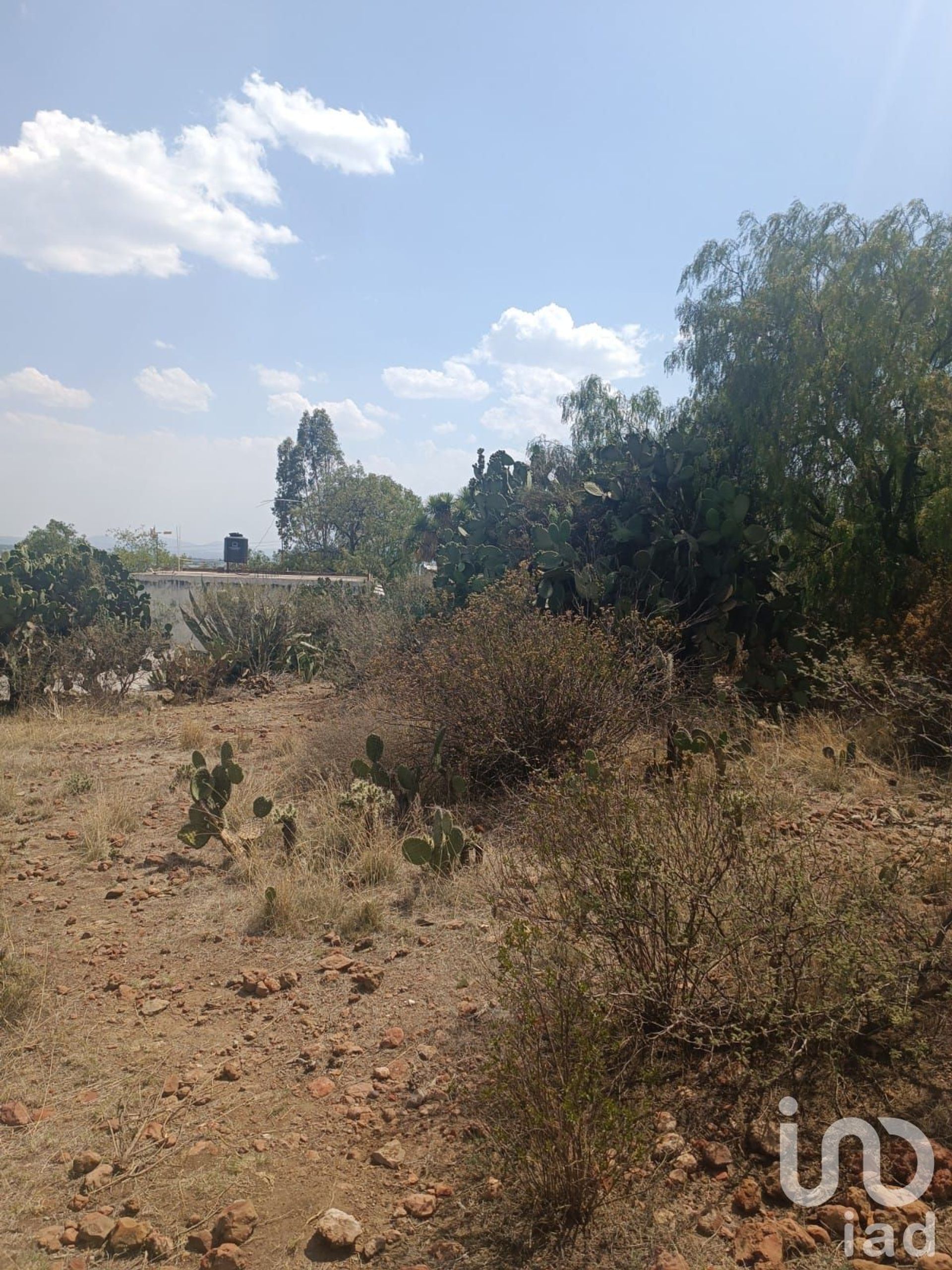 土地 在 Nopaltepec, Estado de México 12676341