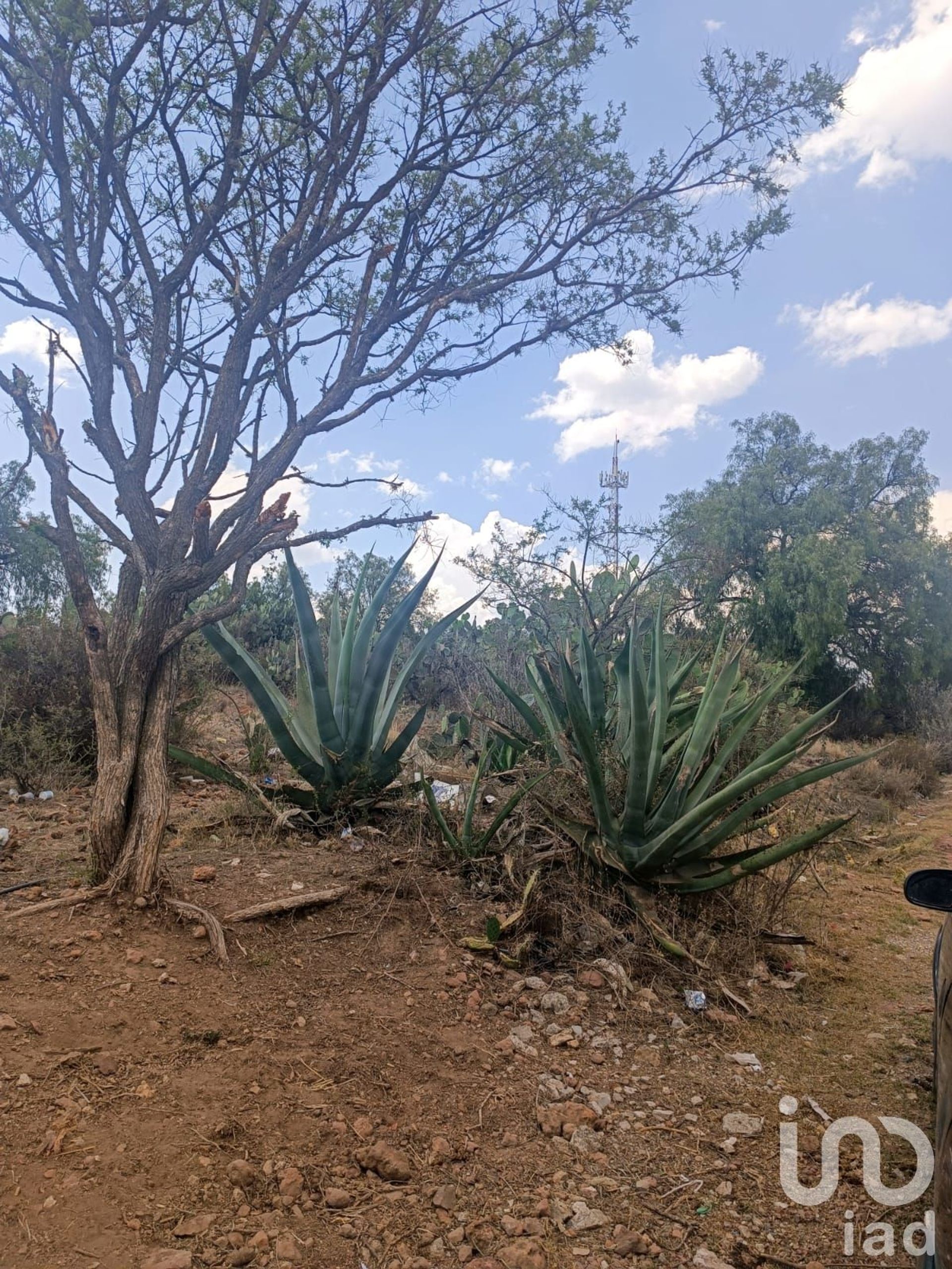 Земельные участки в Nopaltepec, Estado de México 12676341