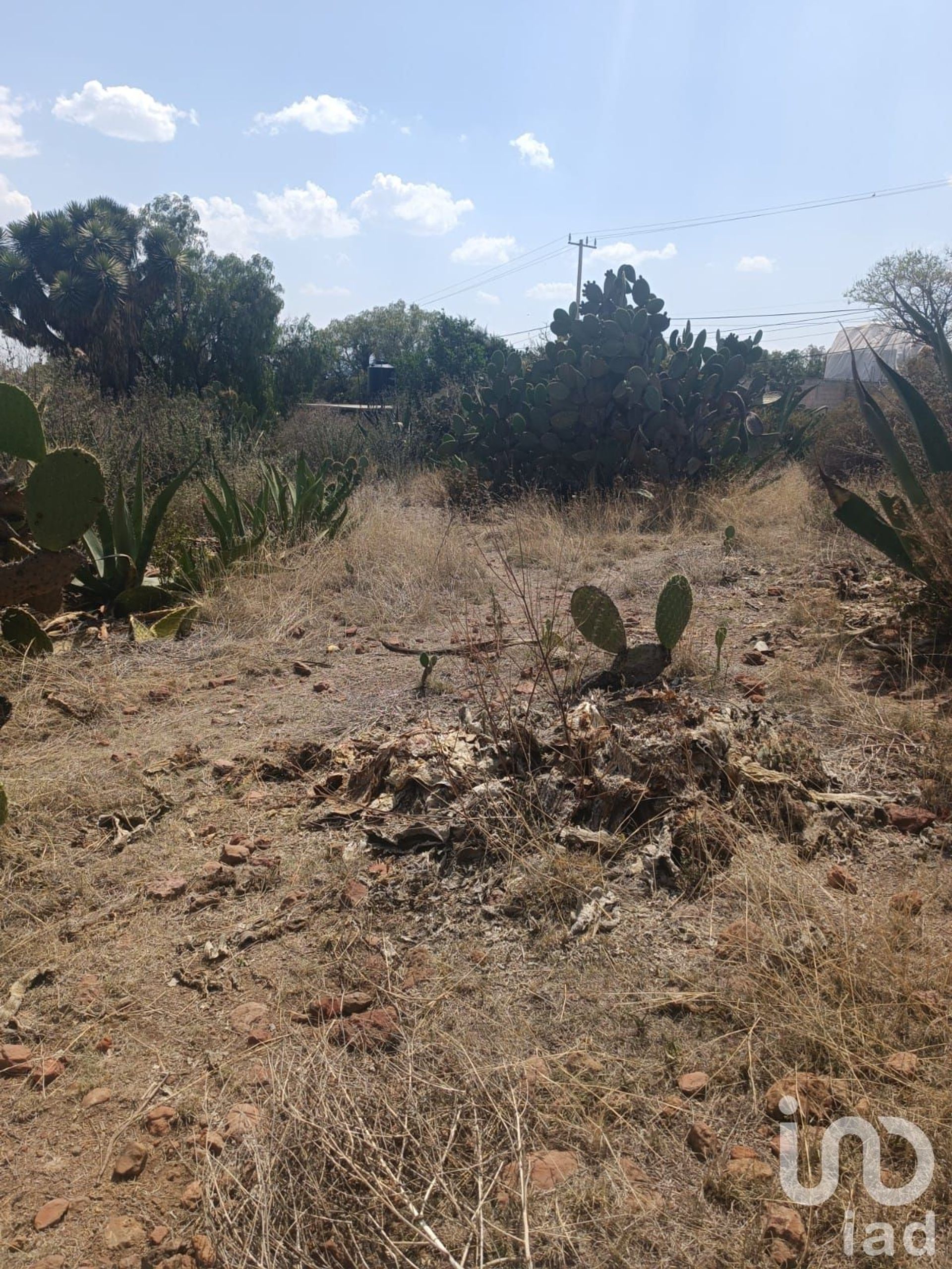 Tanah dalam Nopaltepec, Estado de México 12676341