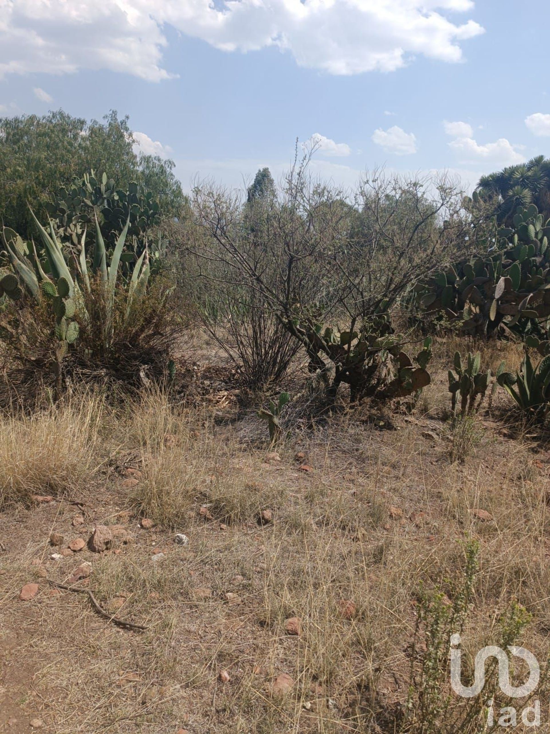 Land im Nopaltepec, Estado de México 12676341