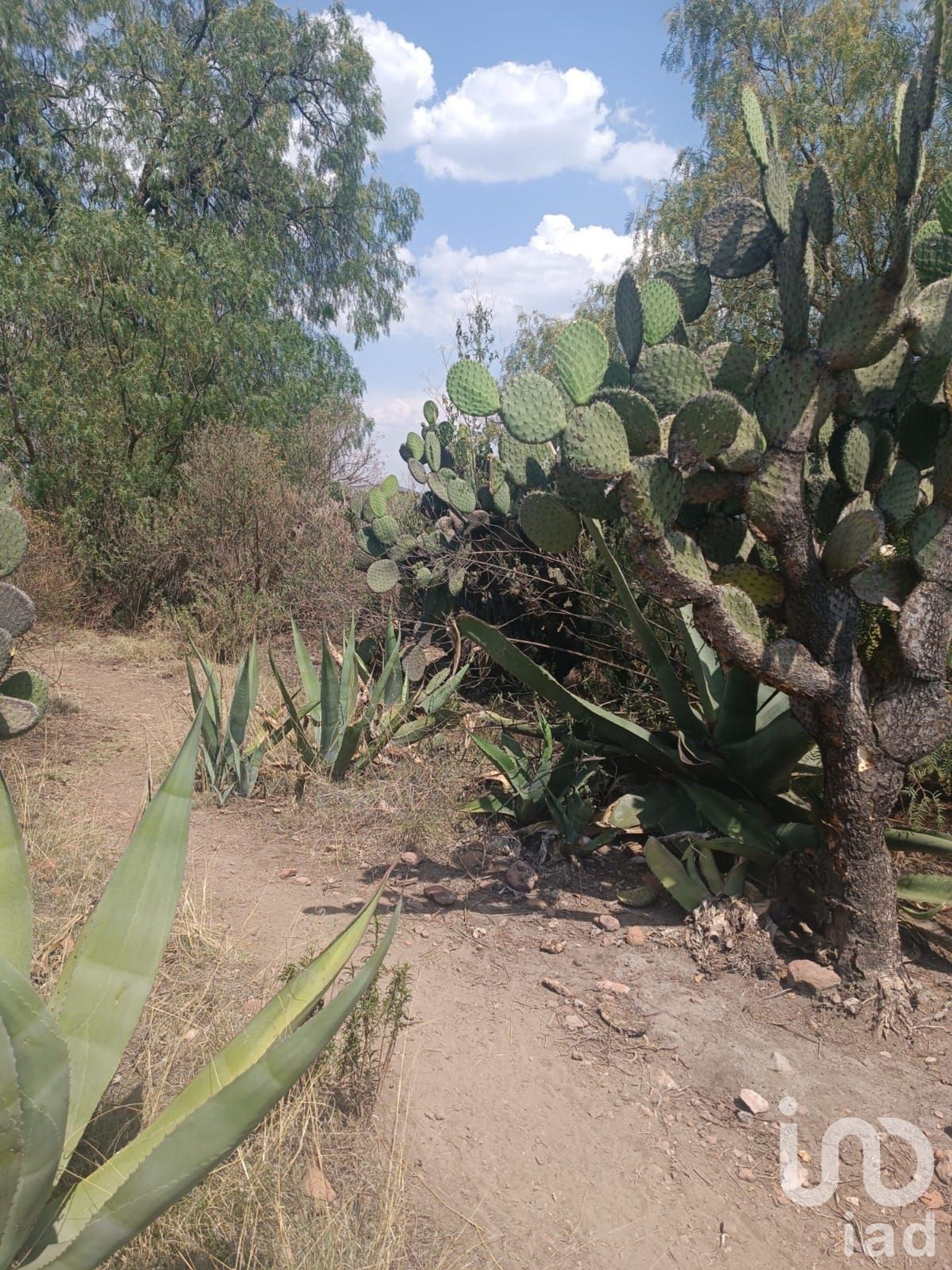 Land in Nopaltepec, Estado de México 12676341