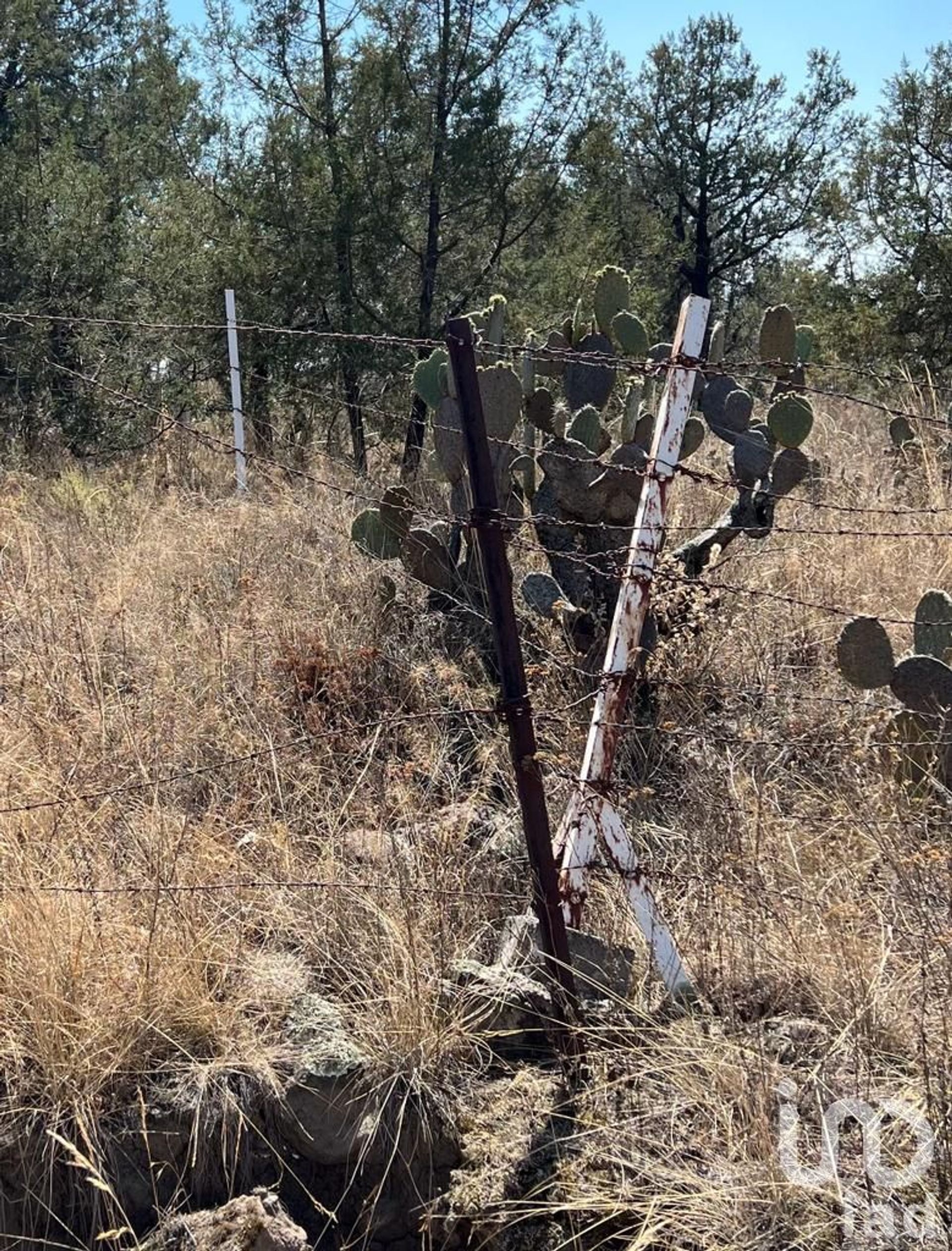 Γη σε San Joaquín Coapango, Estado de México 12676513