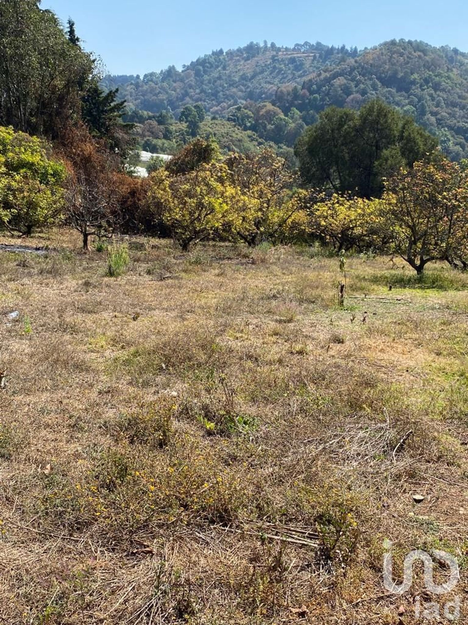 Tanah dalam Ocuilan de Arteaga, Estado de México 12676535