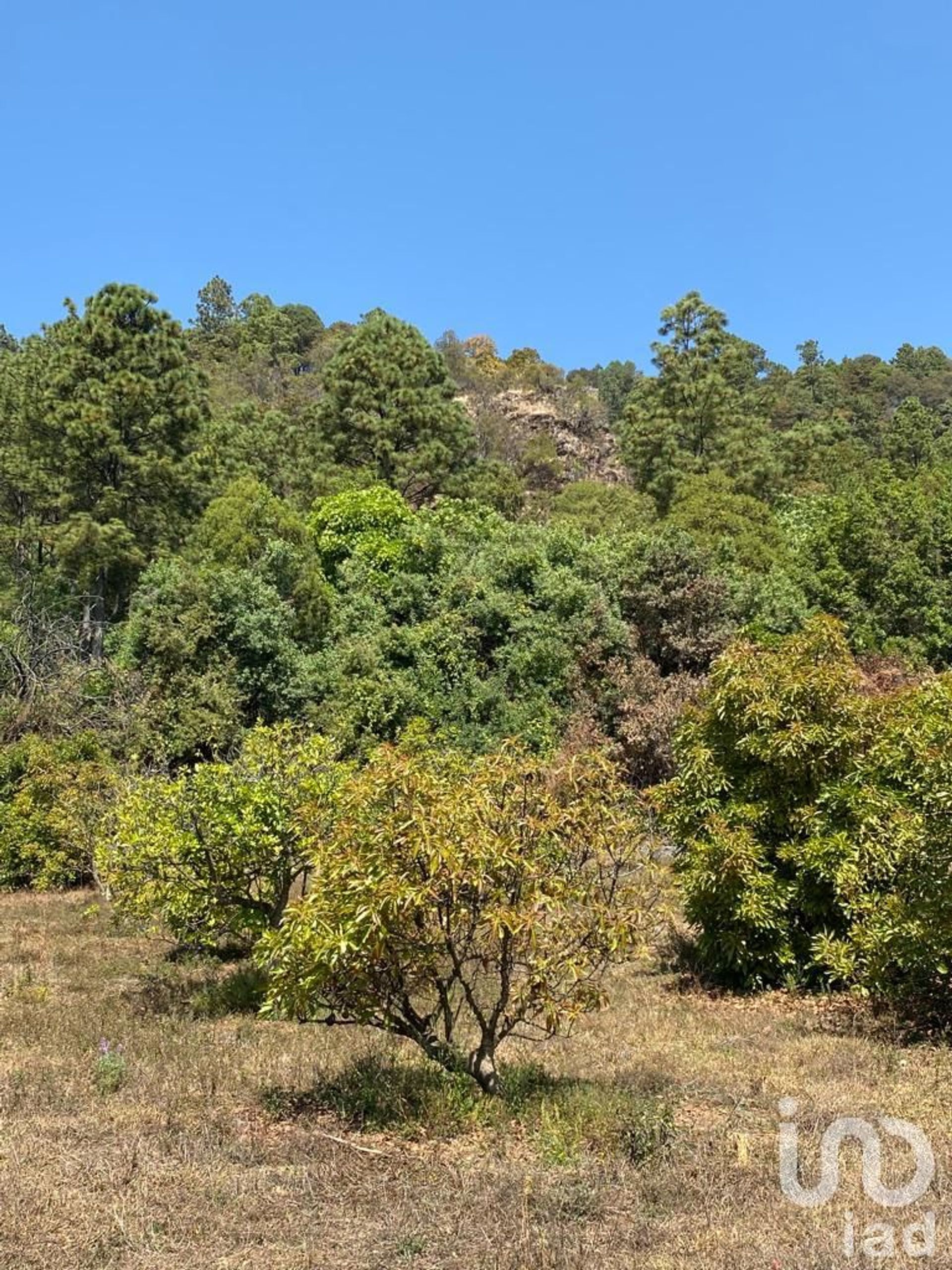 Tanah dalam Ocuilan de Arteaga, Estado de México 12676535