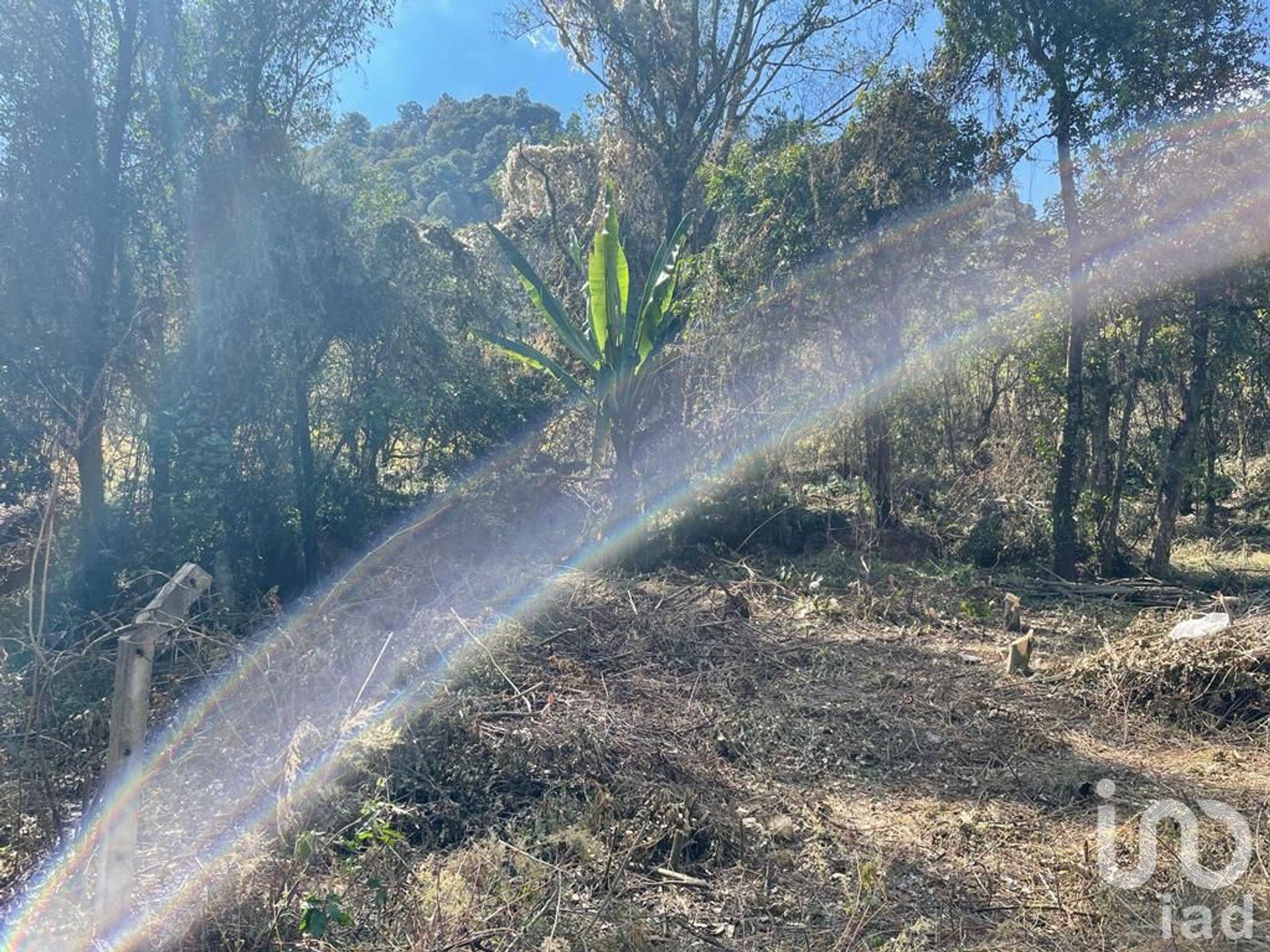 Tanah dalam Ocuilan de Arteaga, Estado de México 12676535