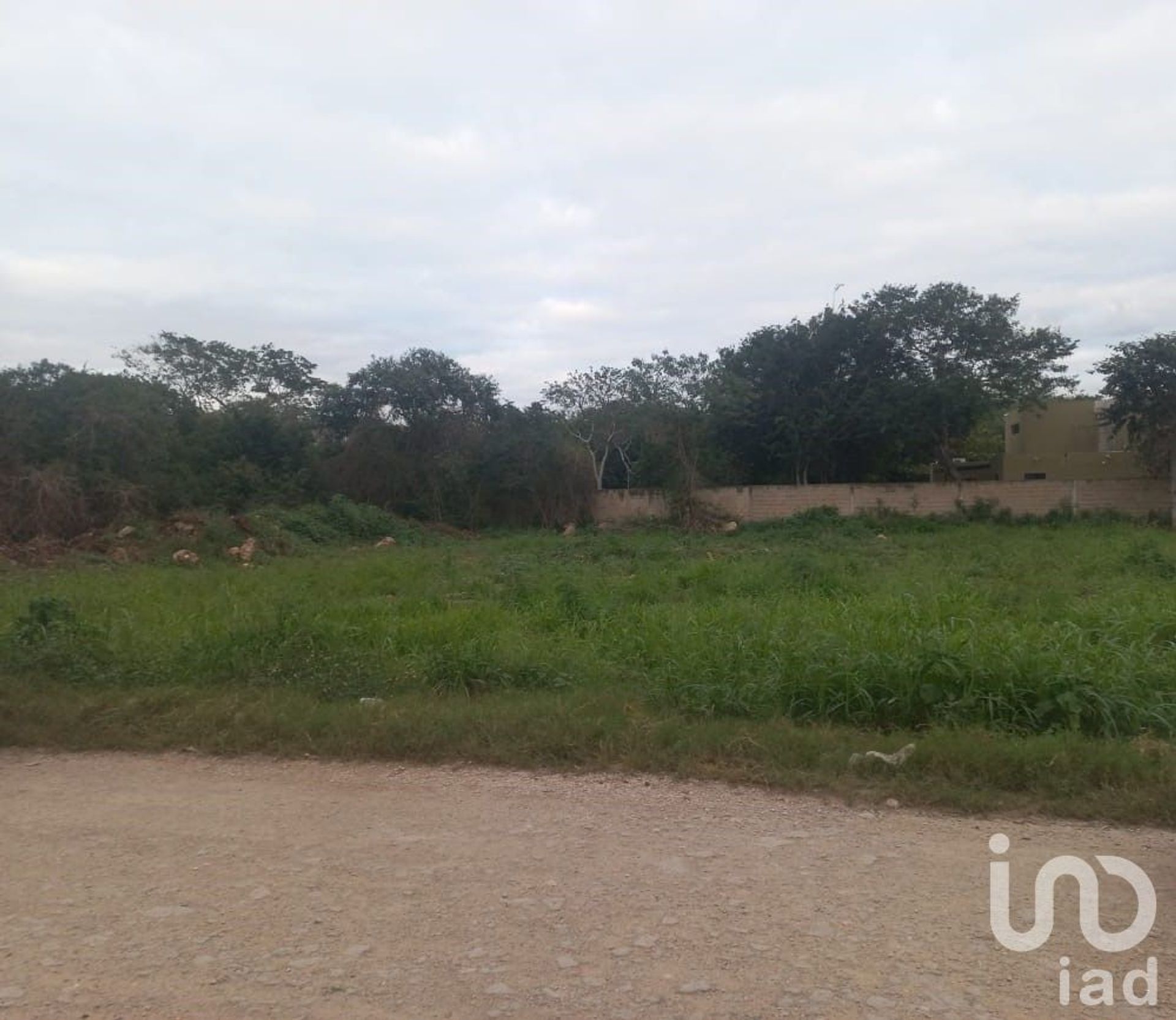 Land in Uman, Yucatan 12676590