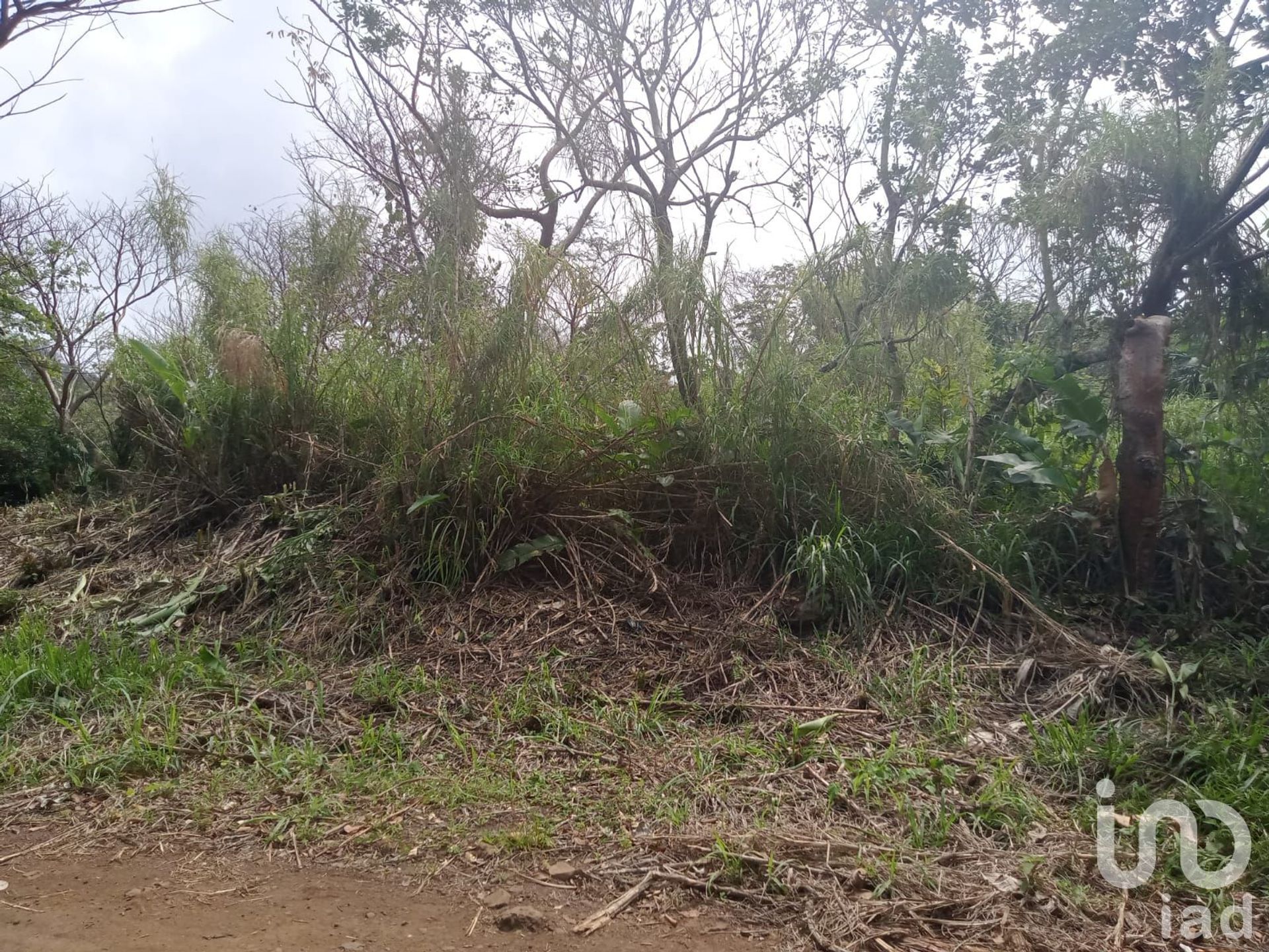 Terre dans Montepío, Veracruz 12676643