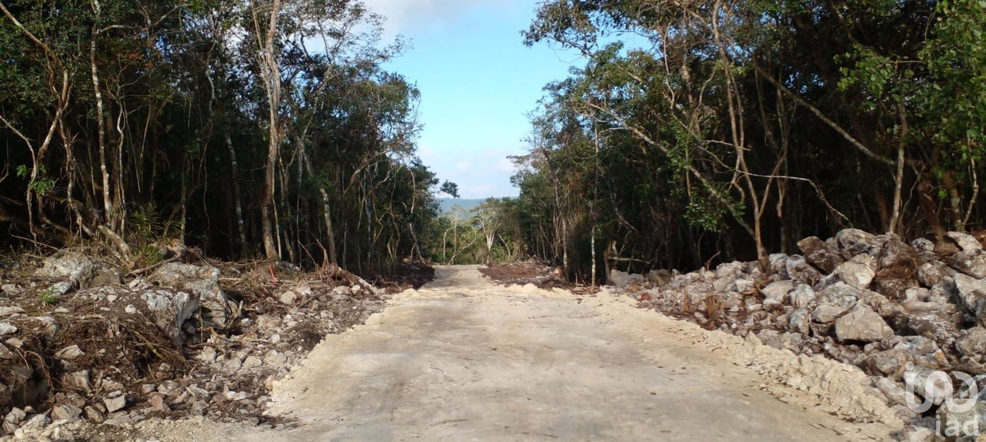 Terre dans Ocozocoautla de Espinosa, Chiapas 12676873