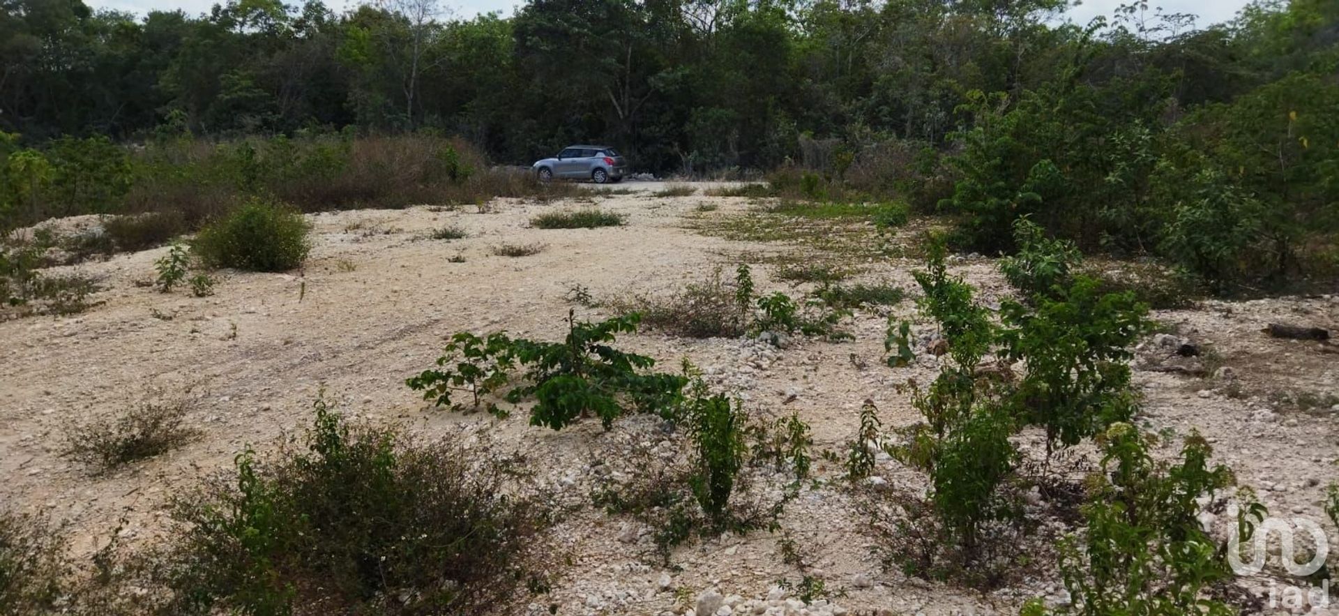 Tierra en Alfredo V. Bonfil, Quintana Roo 12676886