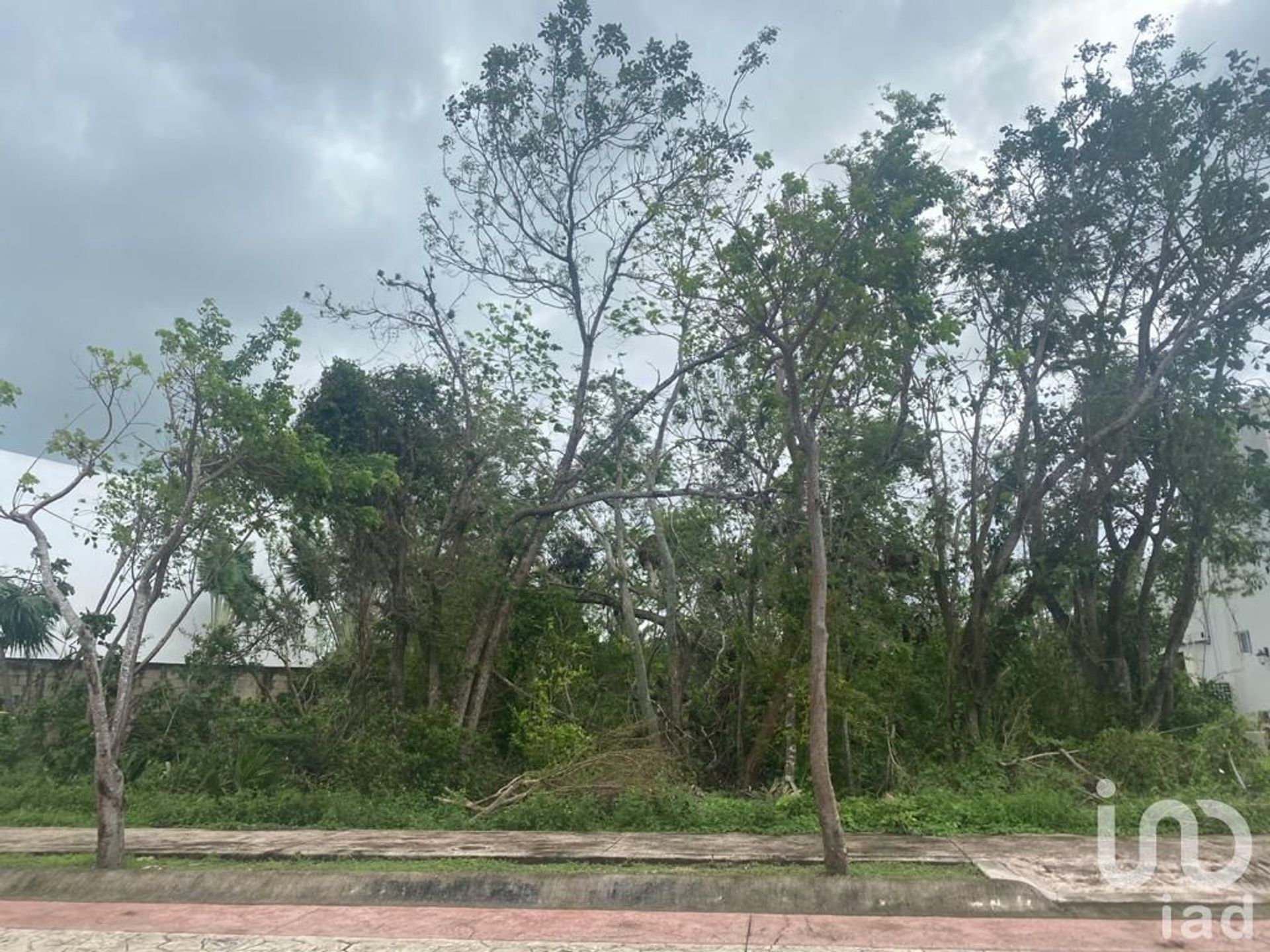 土地 在 阿爾弗雷多·邦菲爾, 金塔納羅奧州 12676924