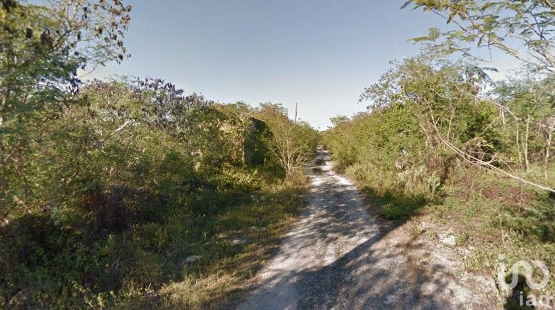 Land in Chablekal, Yucatan 12676940