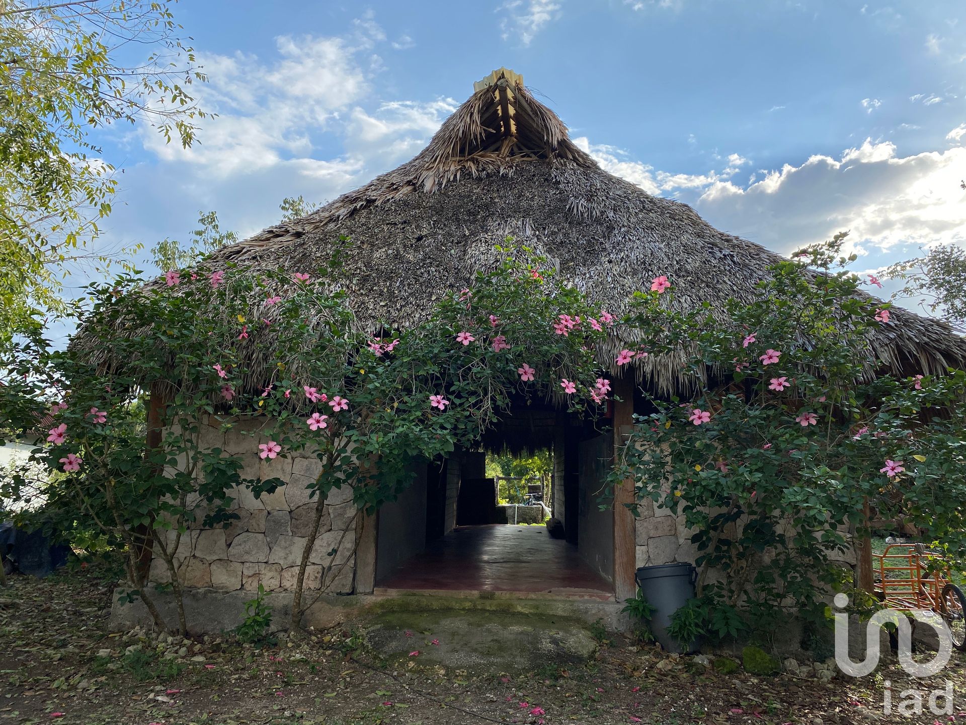 Tanah di , Quintana Roo 12677143