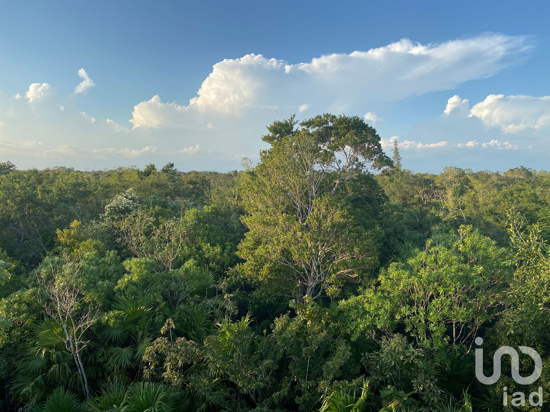 土地 在 , Quintana Roo 12677143