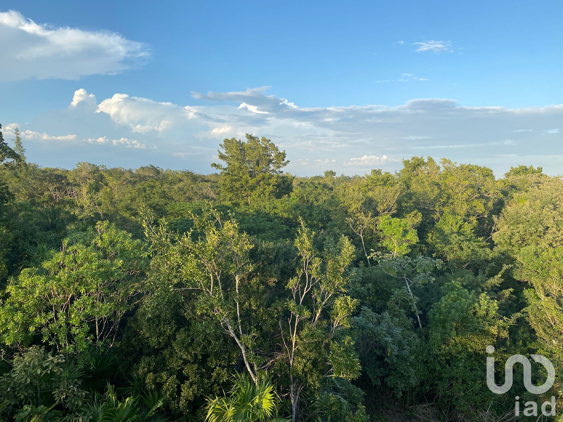 土地 在 , Quintana Roo 12677143