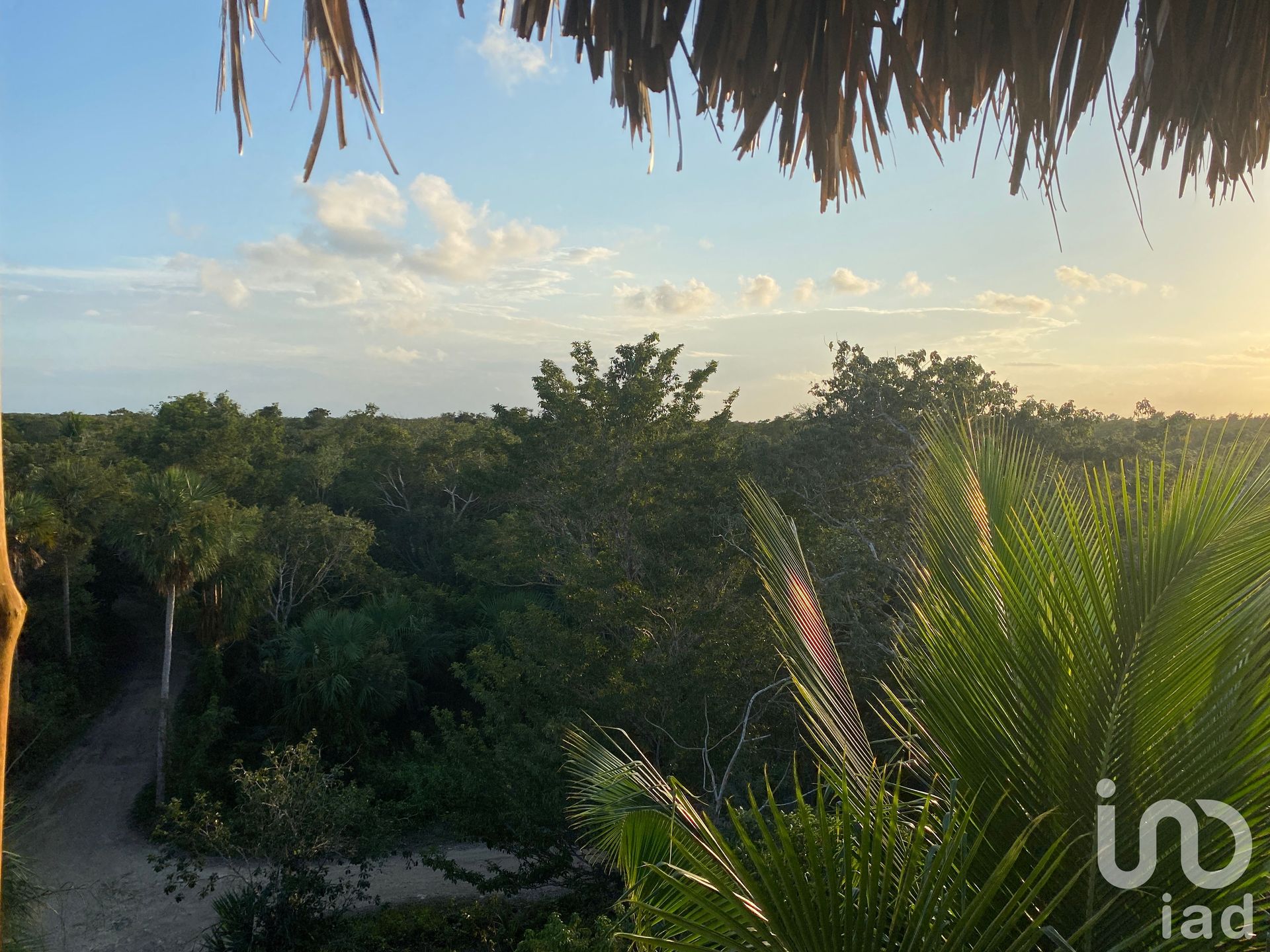 Wylądować w Puerto Aventuras, Quintana Roo 12677143