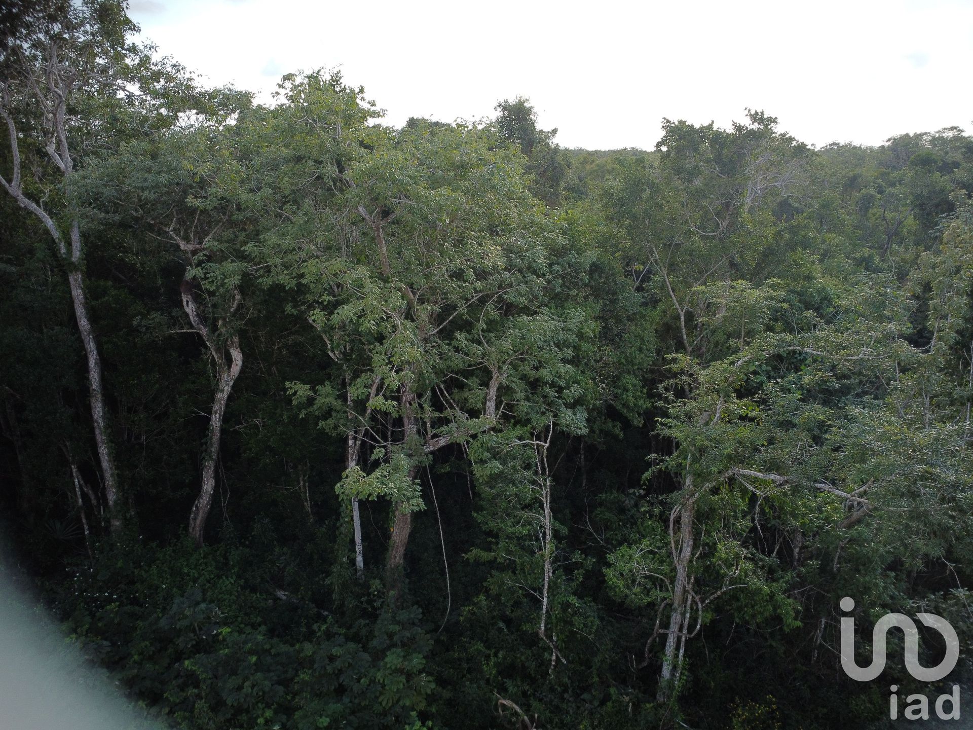 土地 在 , Quintana Roo 12677143