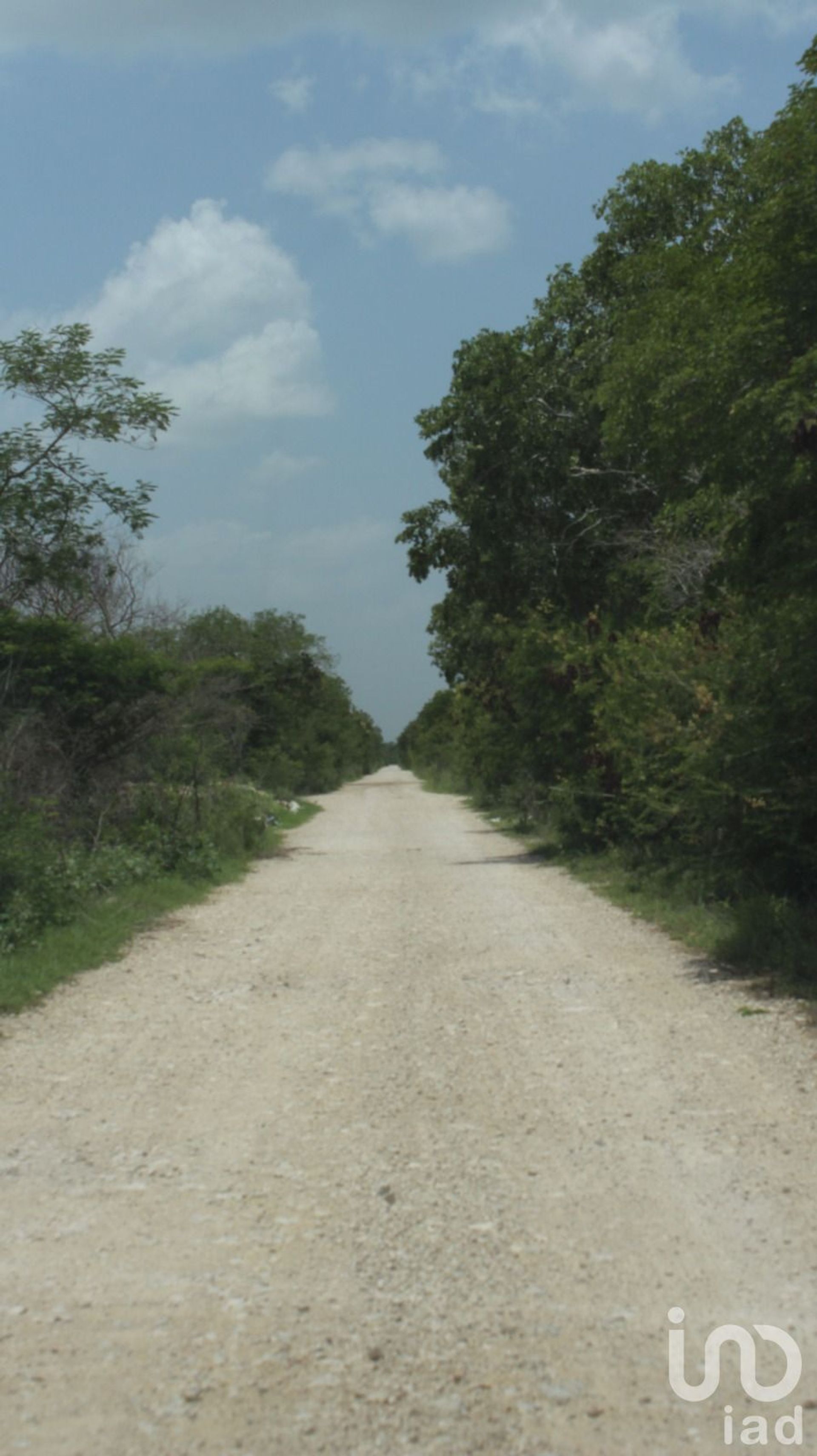 Land in , Yucatán 12677227