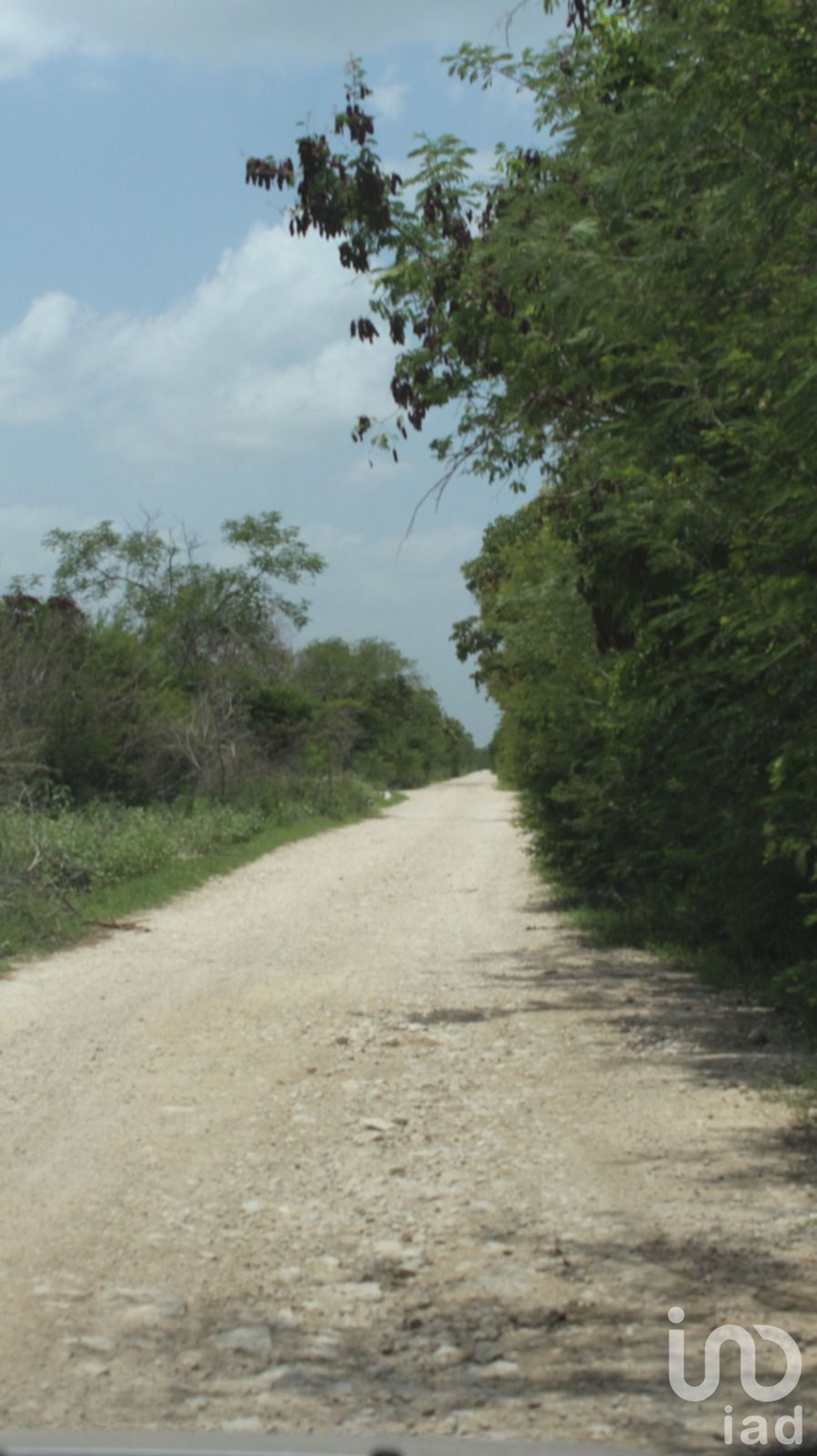 Maa sisään Progreso, Yucatan 12677237