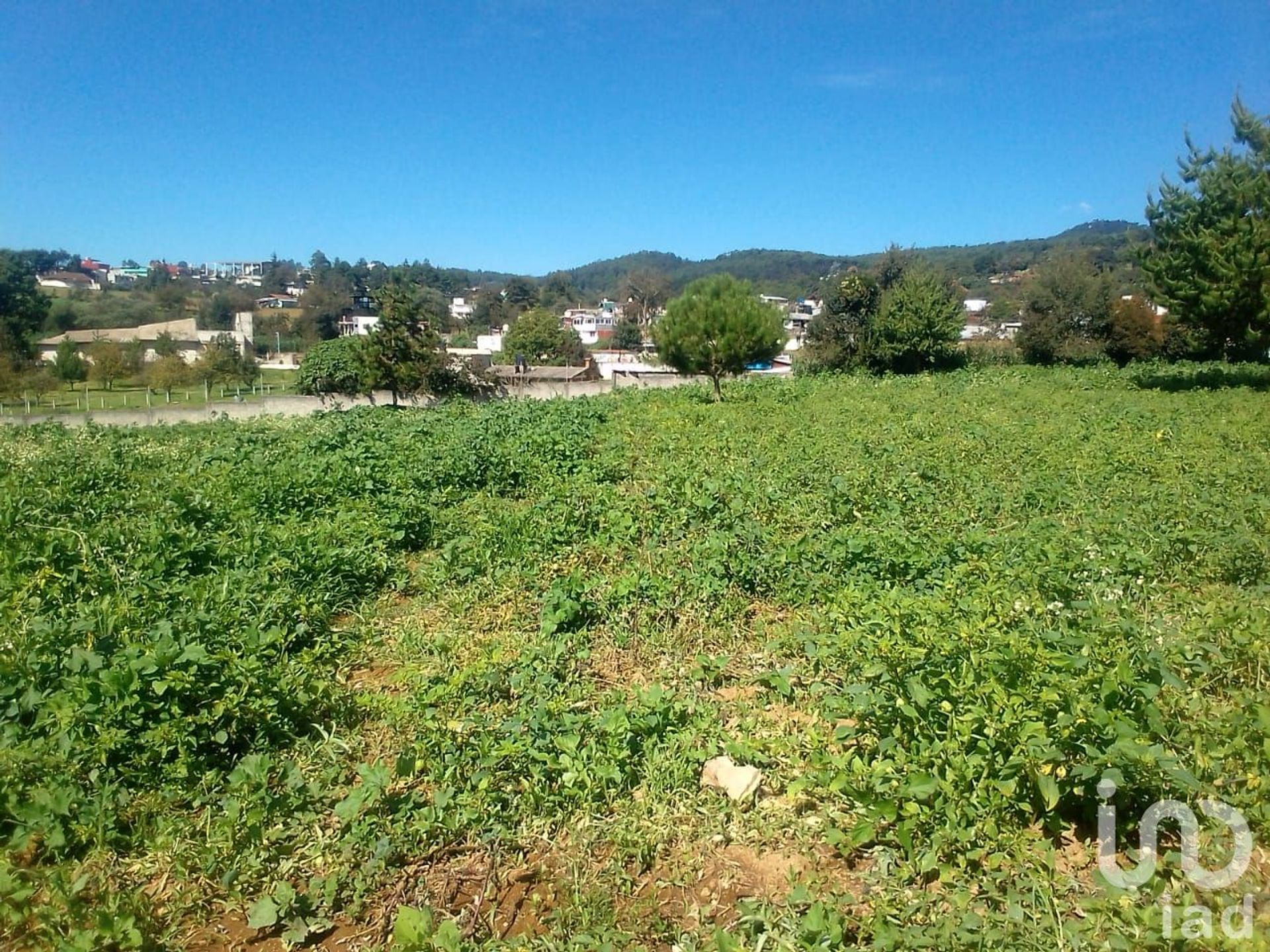 Terre dans Zacatlán, Puebla 12677241