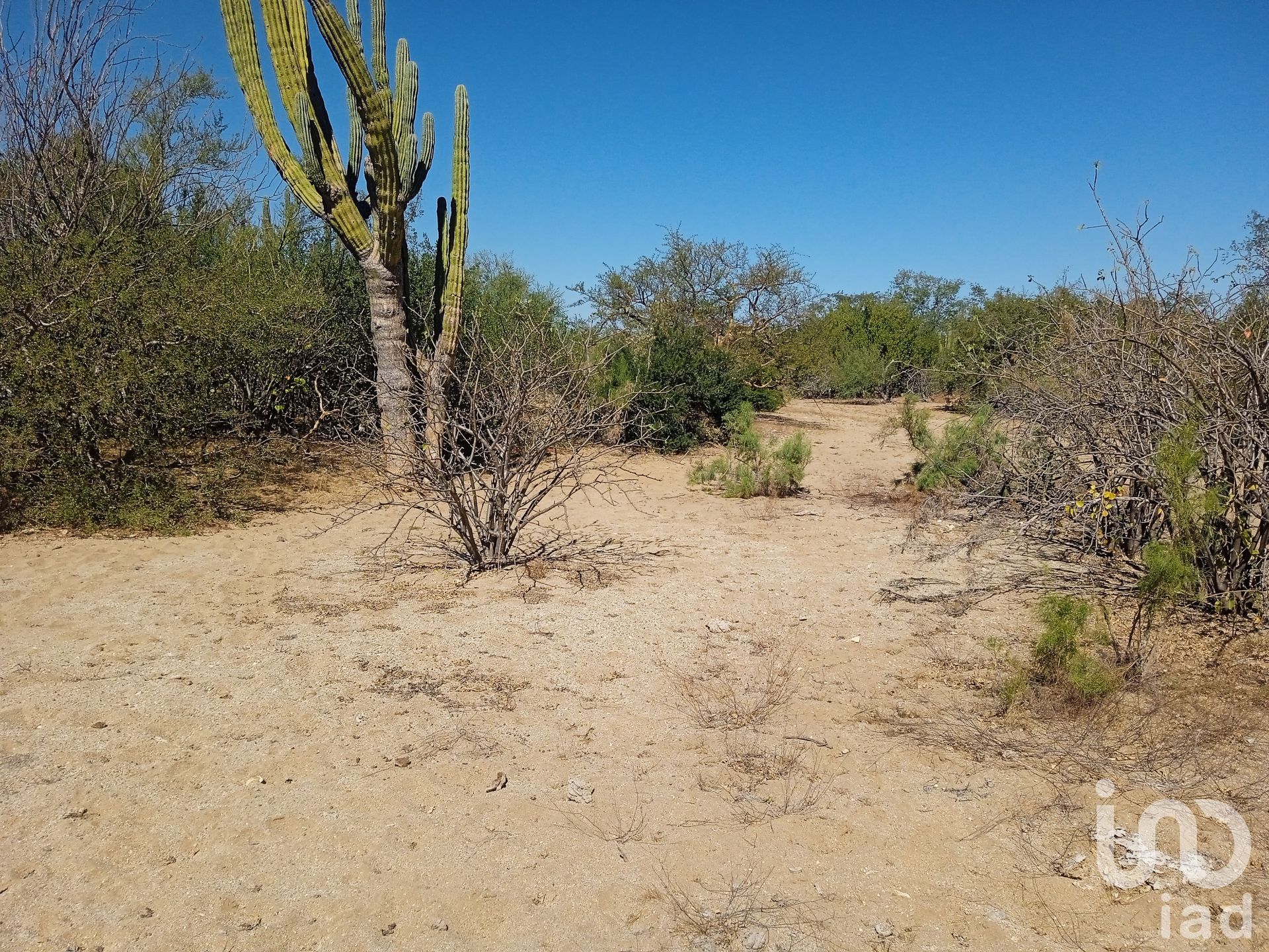 Terre dans , Baja California Sur 12677247