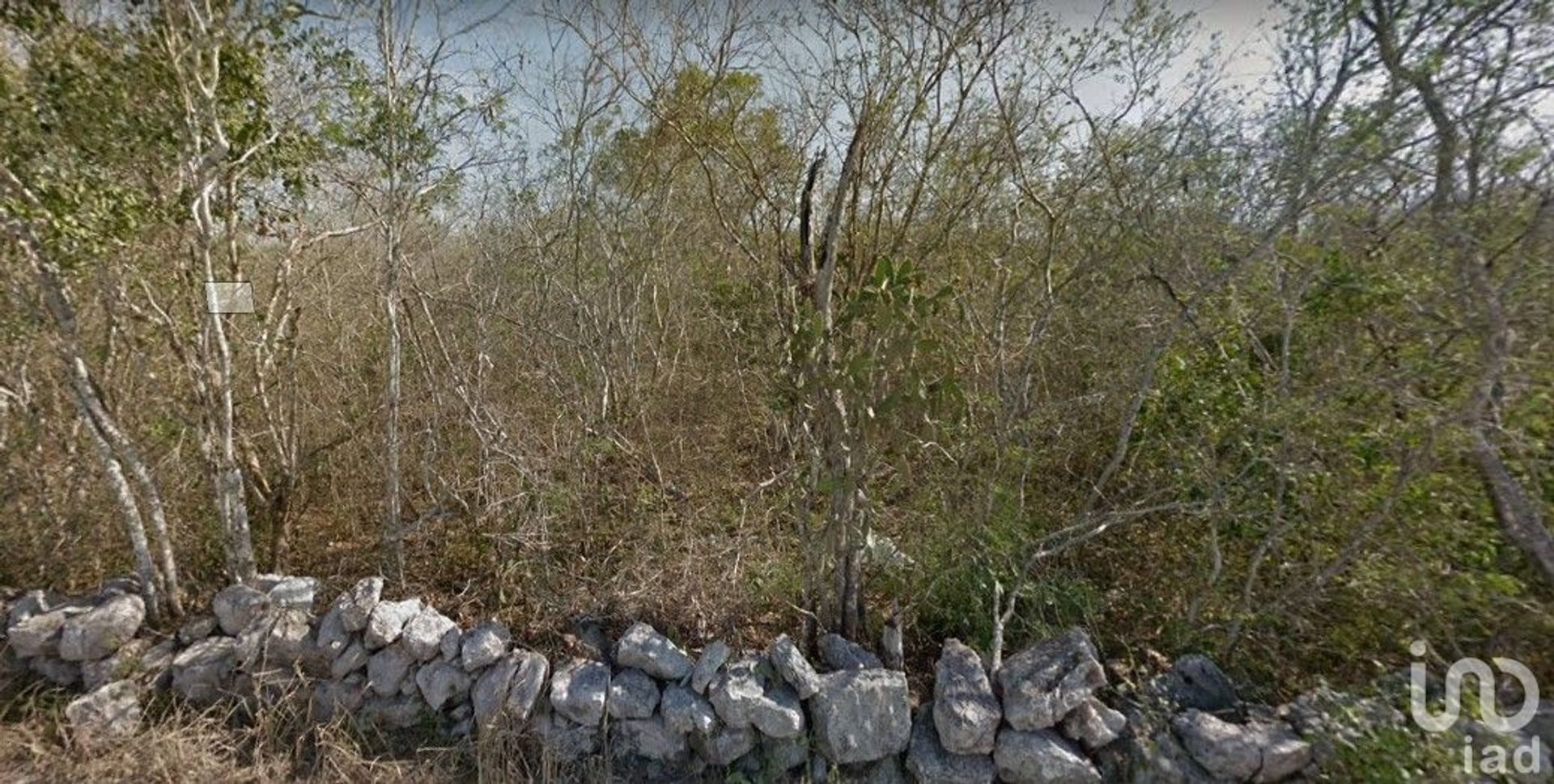 Land in Komchen, Yucatan 12677322