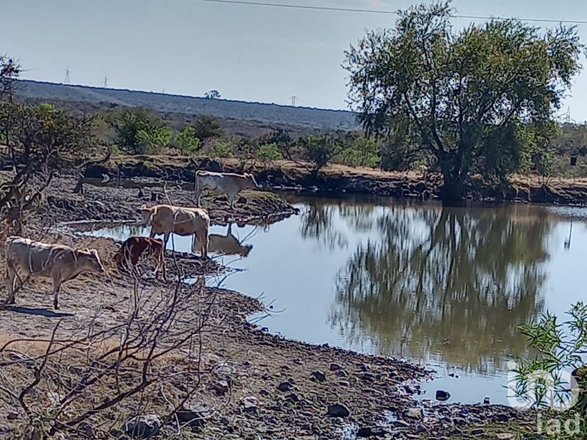 Tierra en Fracción de San Javier, Jalisco 12677323