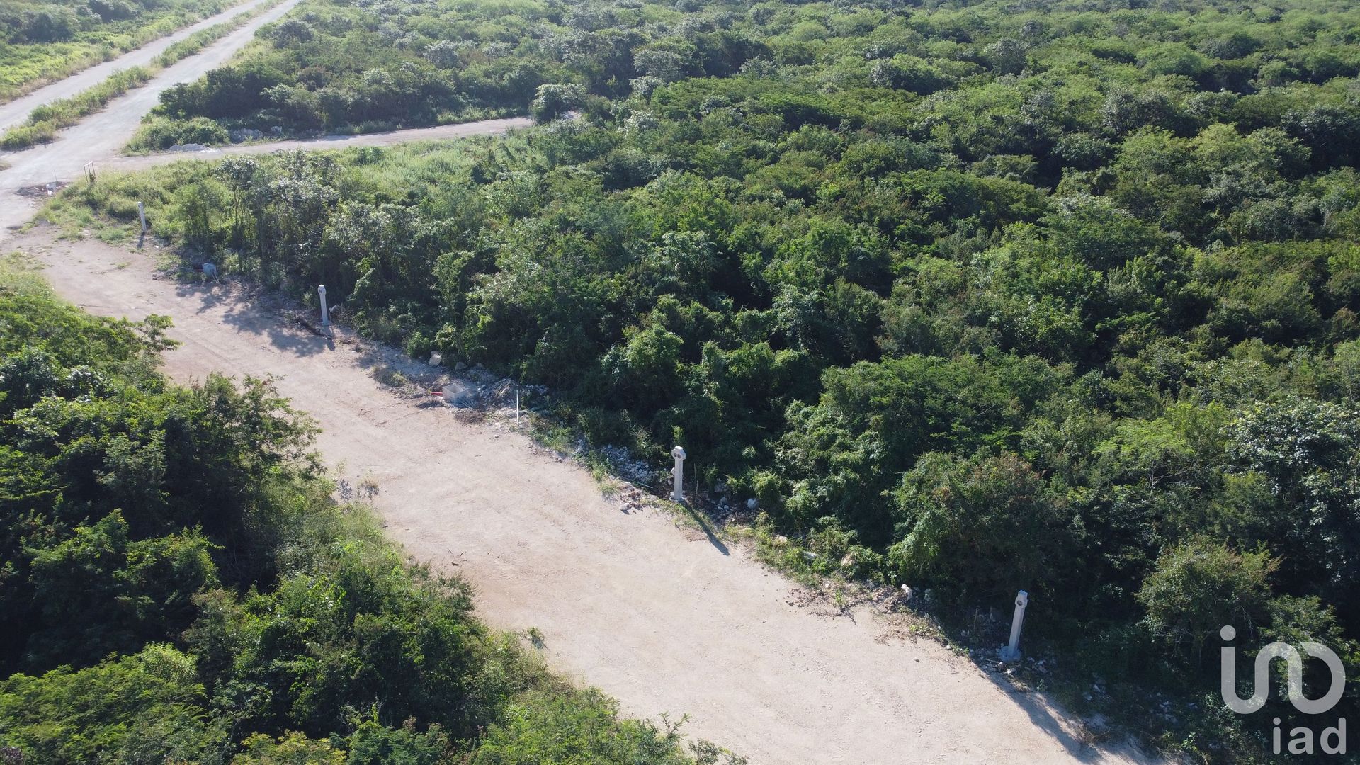 Land im Yaxkukul, Yucatán 12677349