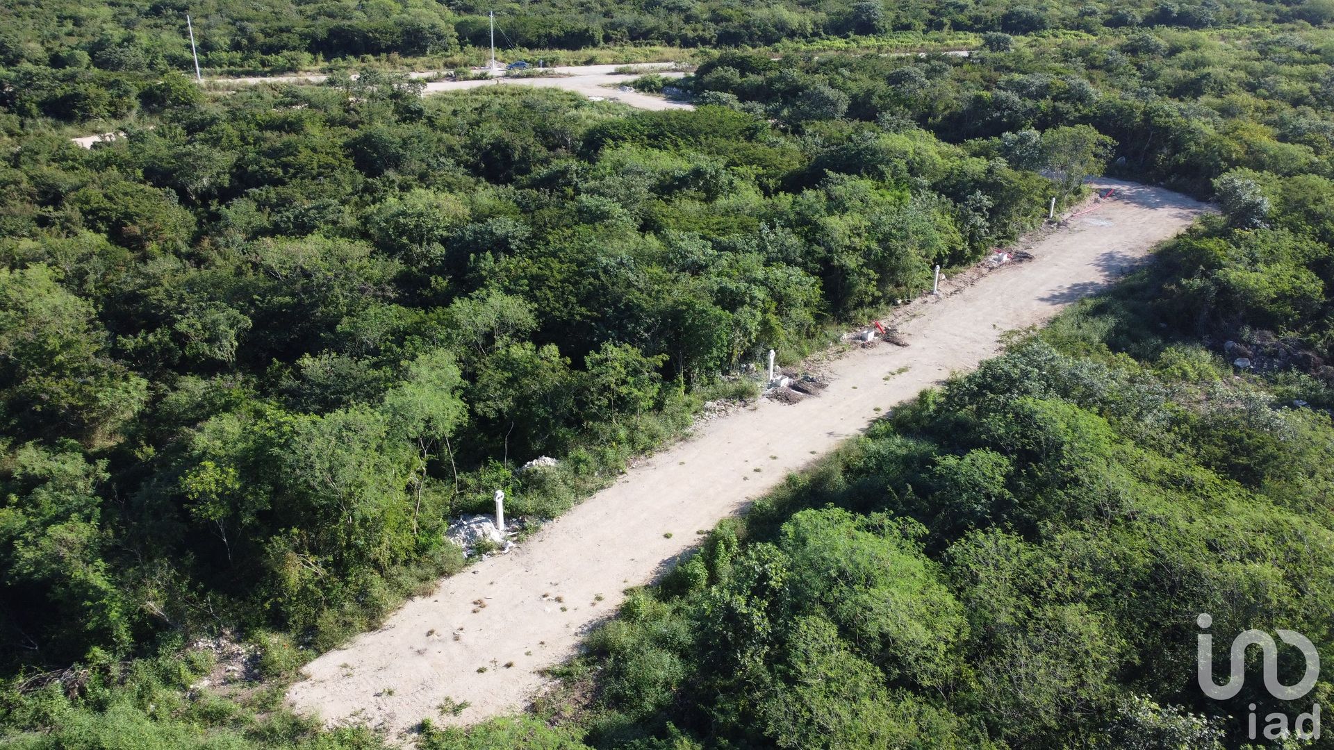 Land im Yaxkukul, Yucatán 12677349