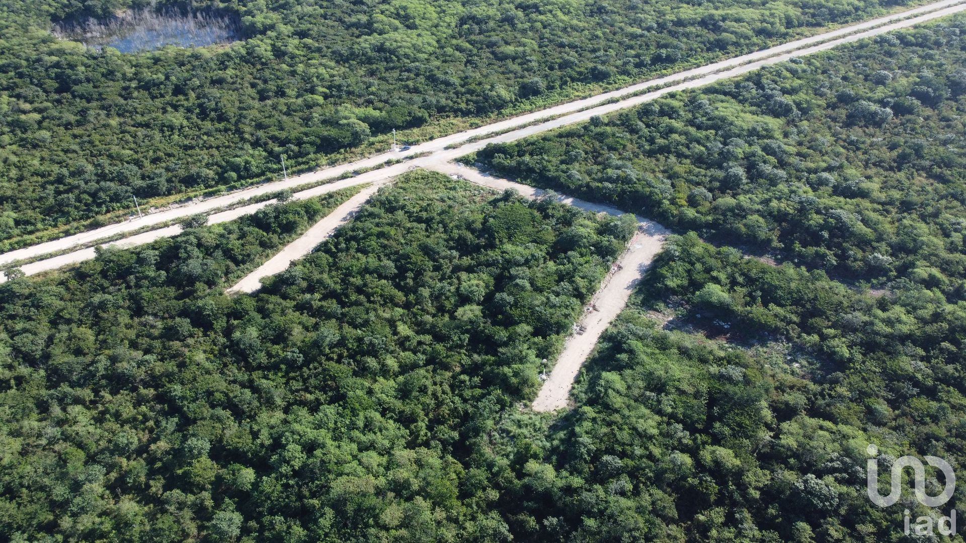 Land im Yaxkukul, Yucatán 12677349