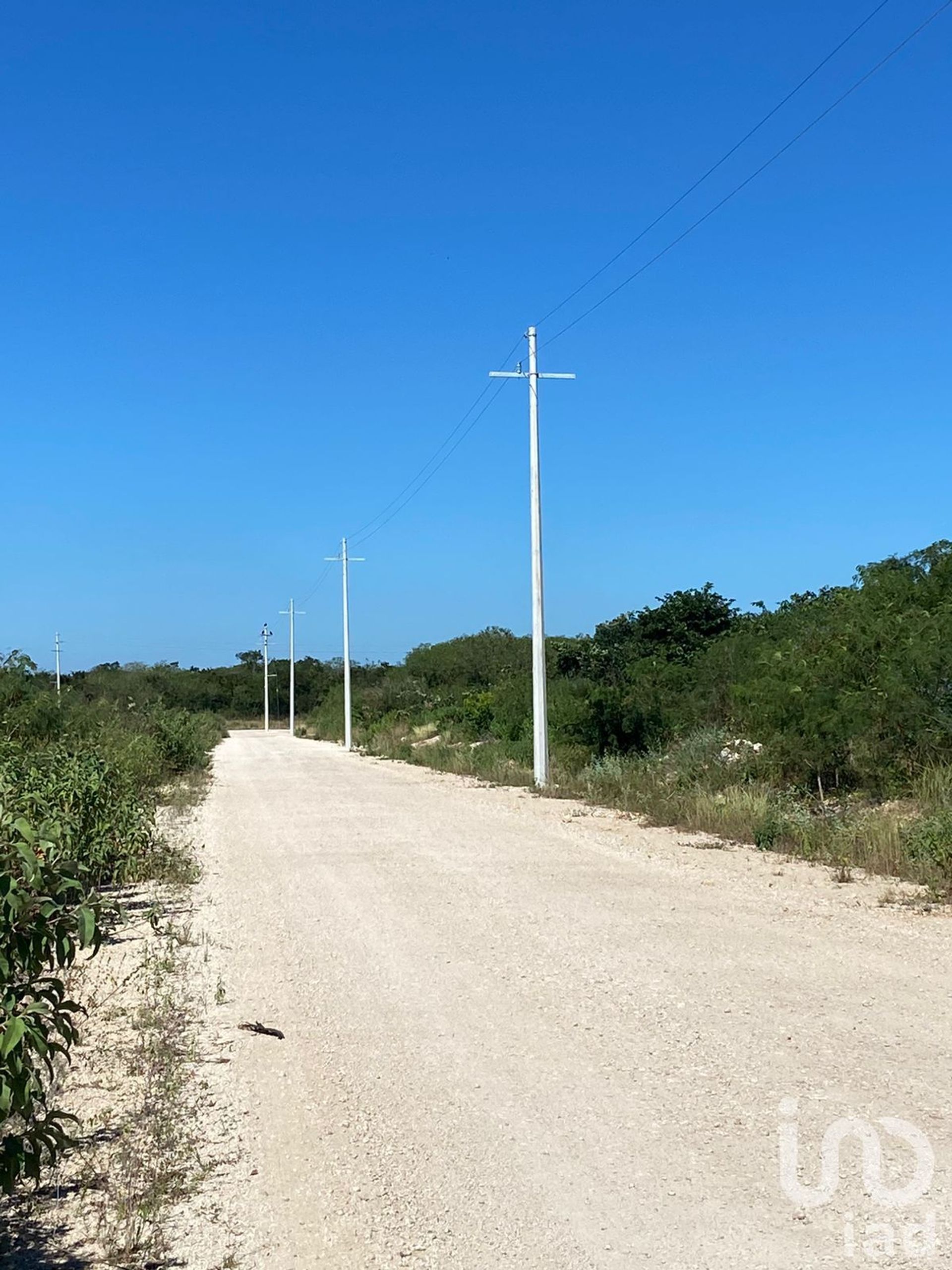 Land im Yaxkukul, Yucatán 12677349