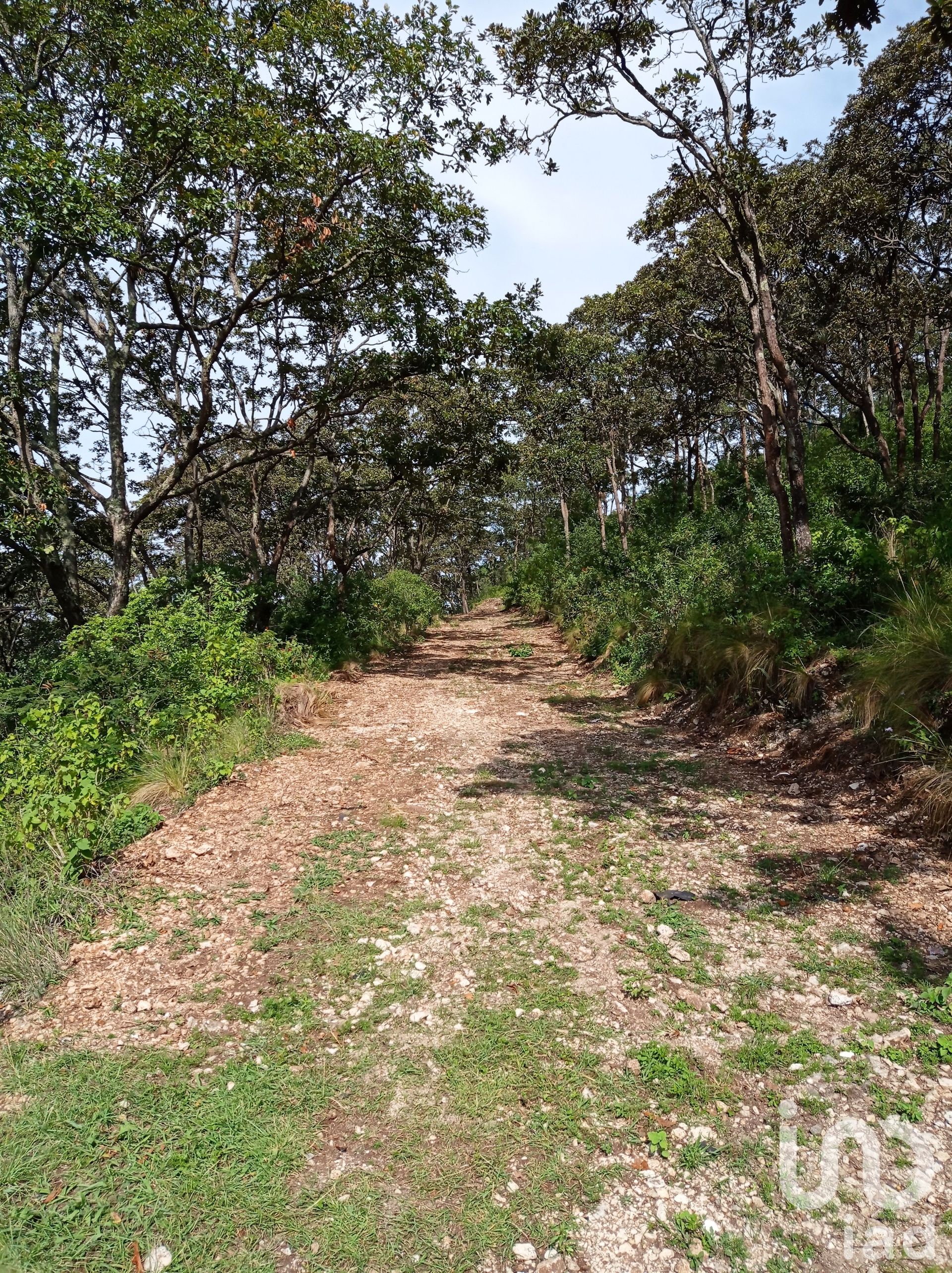 Terra no San Cristobal, Chiapas 12677388