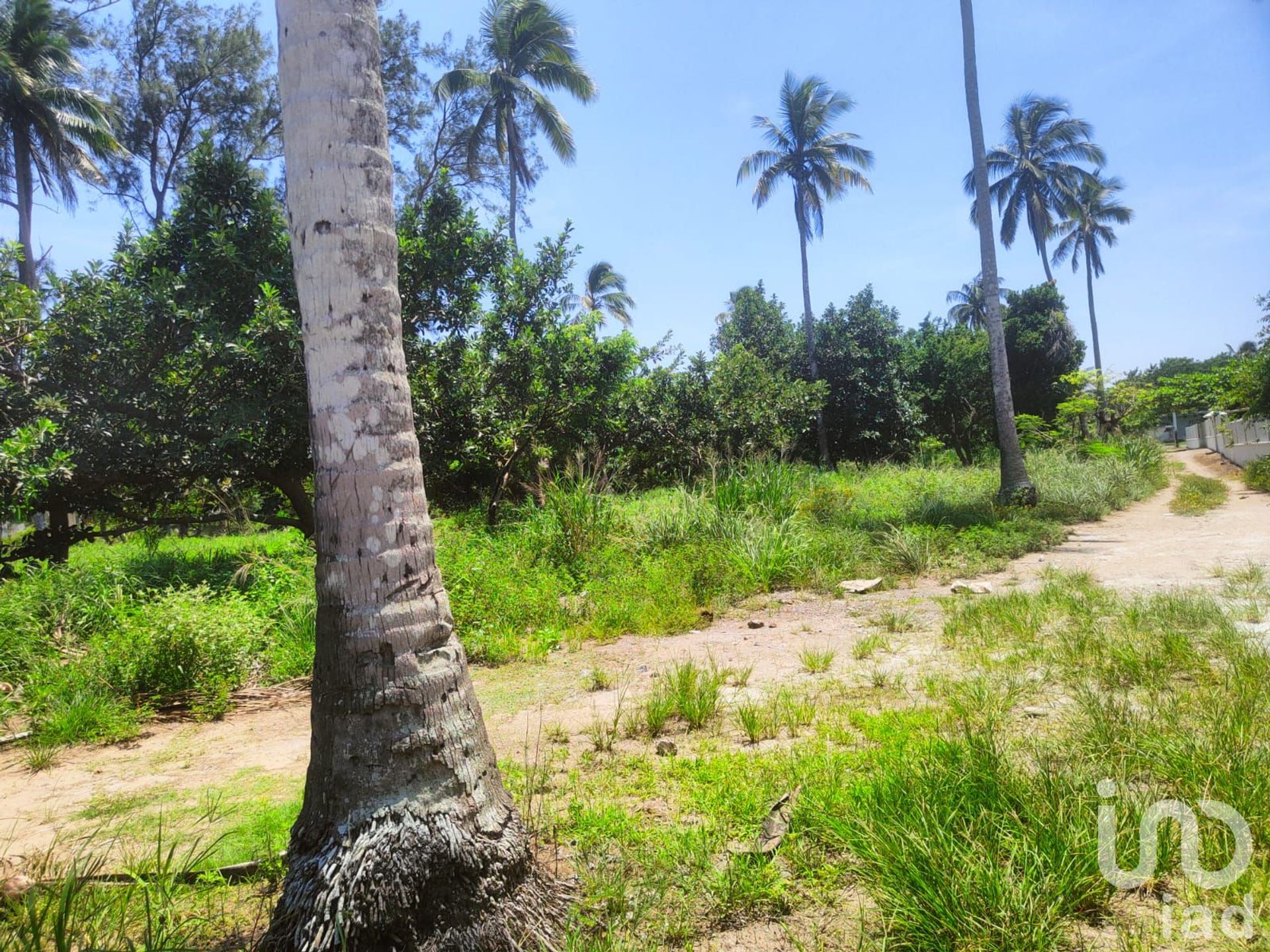 Γη σε Monte Gordo, Veracruz 12677441