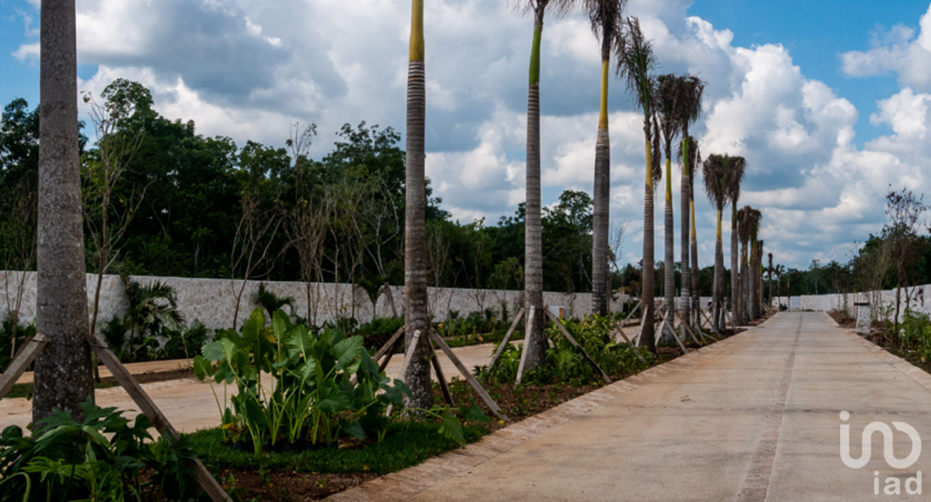 Tanah dalam Cancún, Quintana Roo 12677614