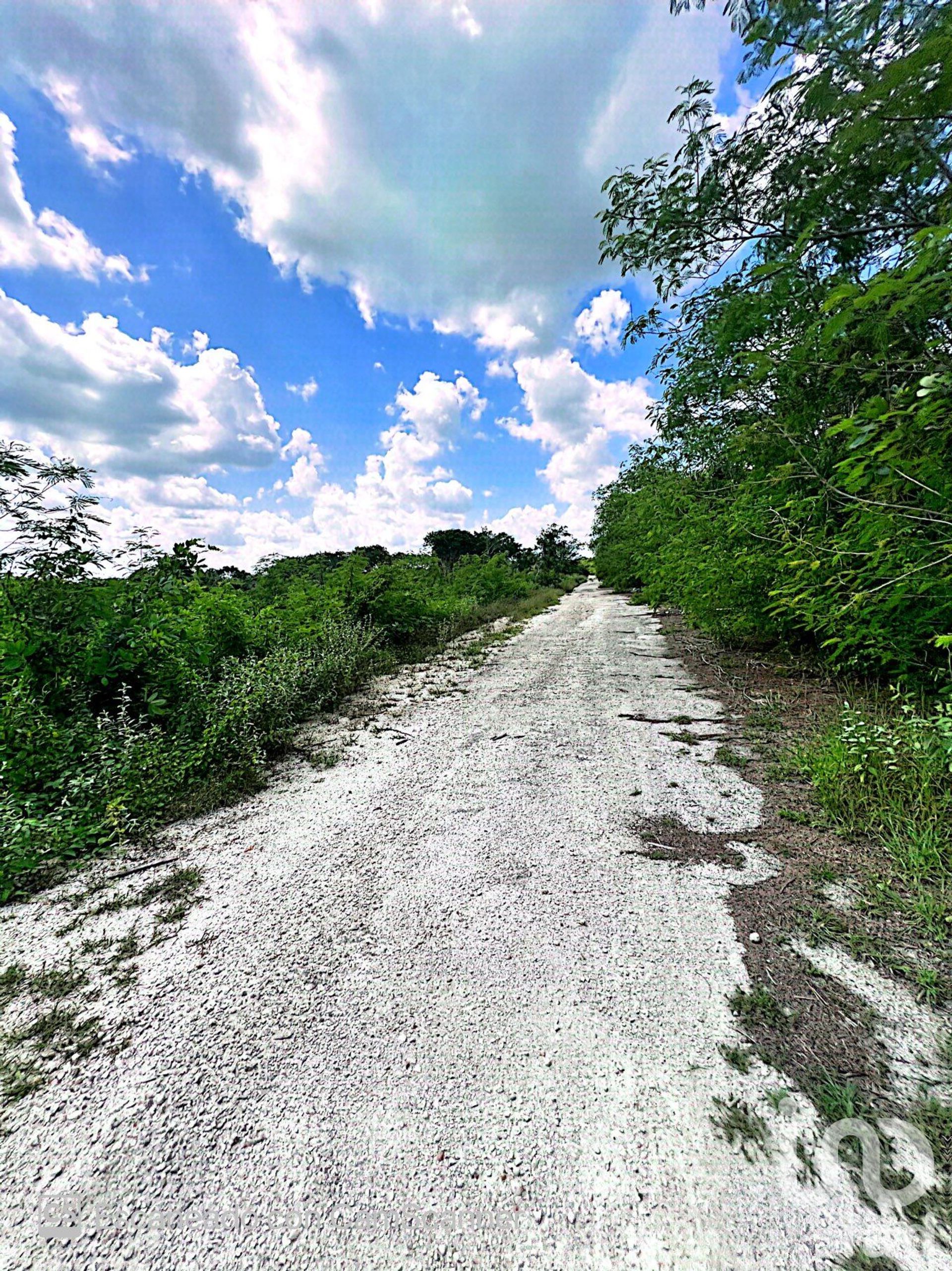 Terre dans Komchén, Yucatán 12677757