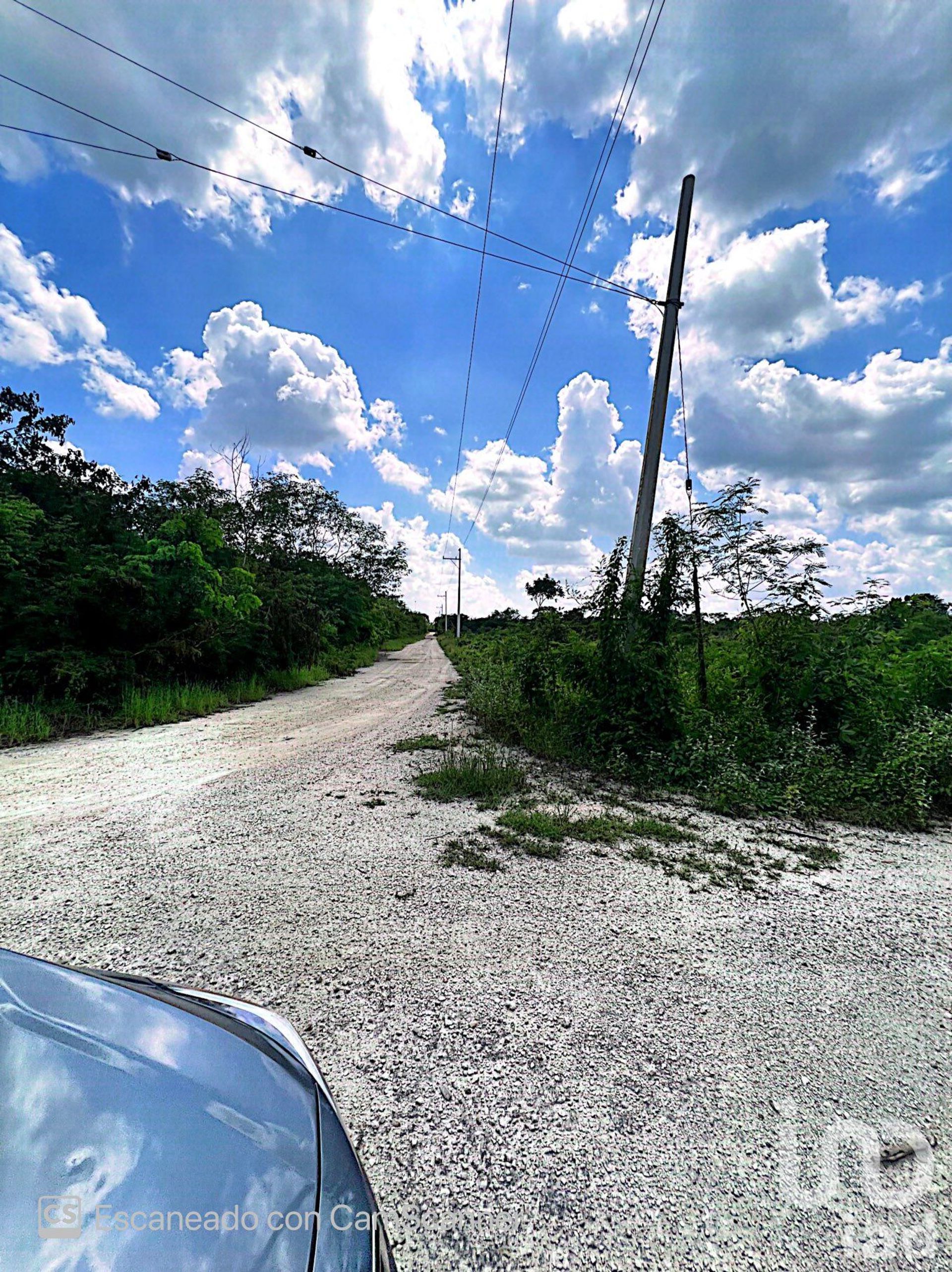 Terre dans Komchén, Yucatán 12677757